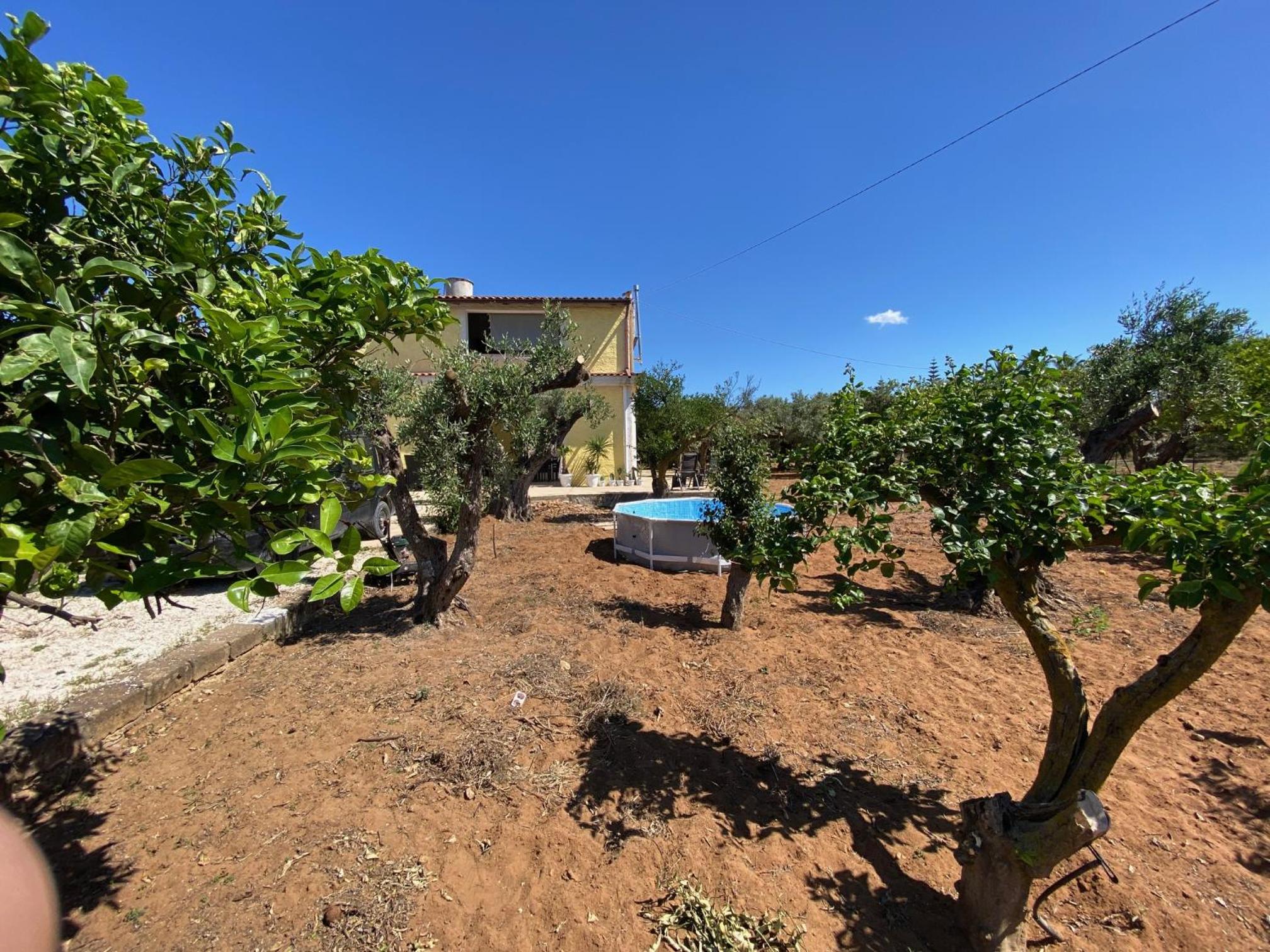 Villa Medusa photo 4