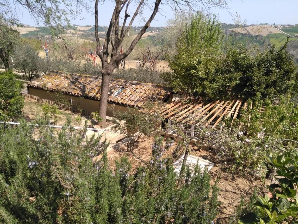 Photo 14