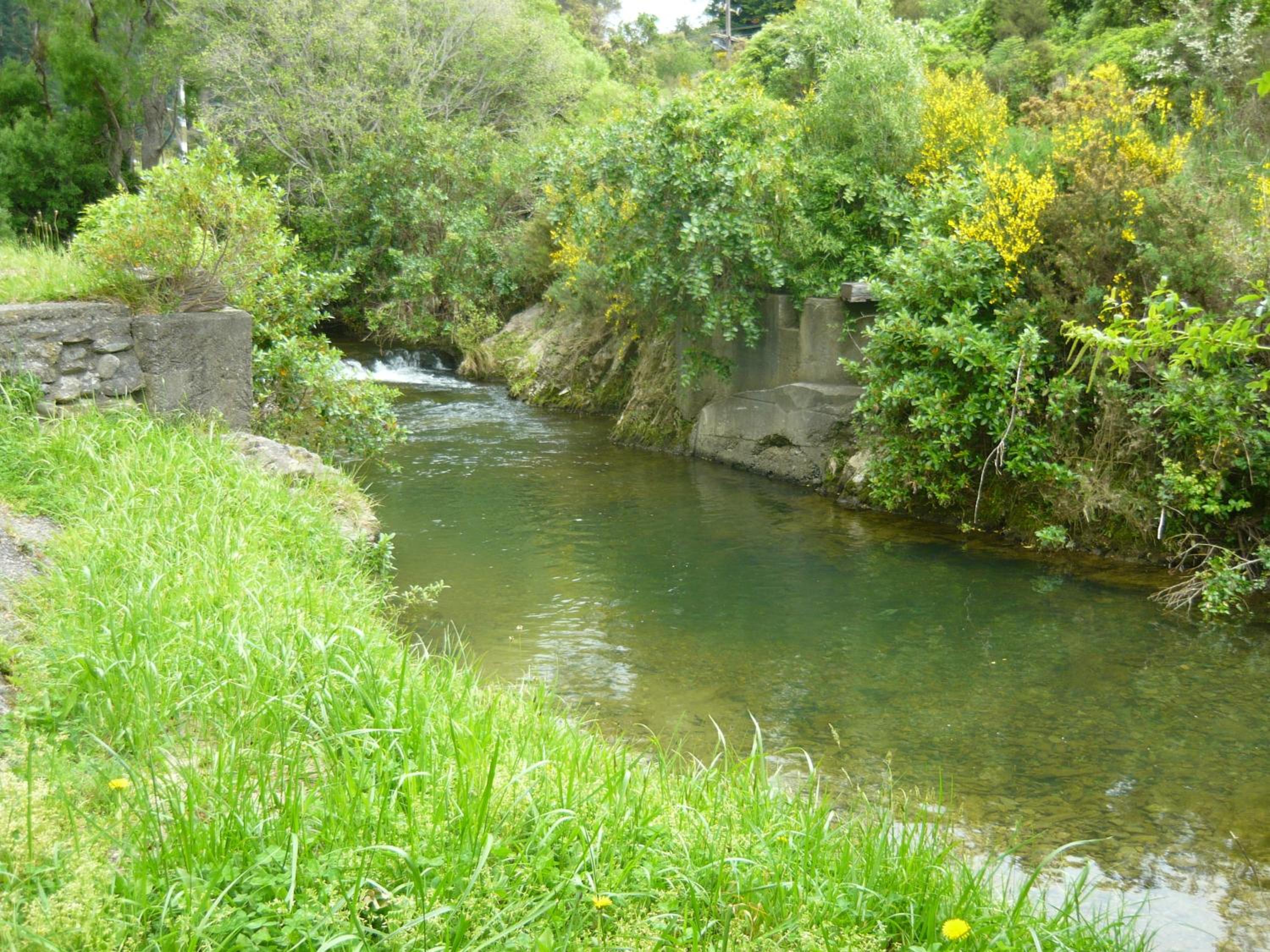 Alexanders Holiday Park - Image 5