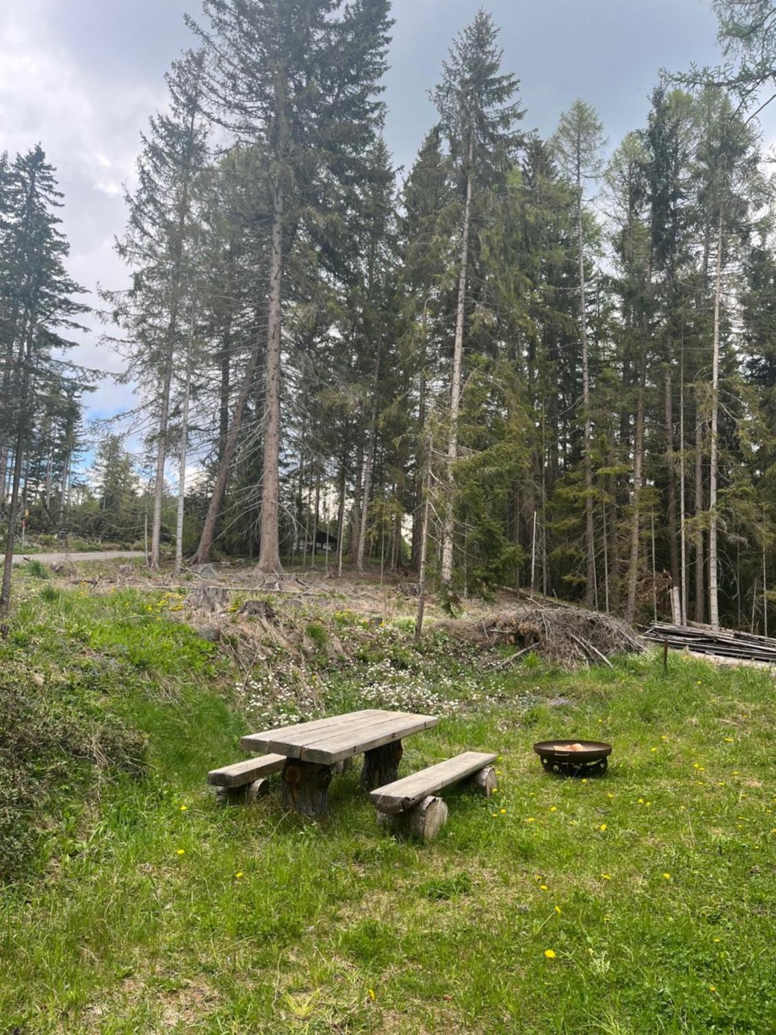 Almhaus Murtal Zirbenland