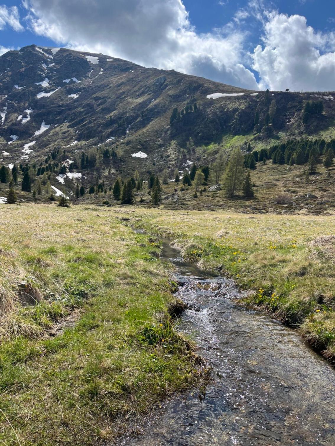 Almhaus Murtal Zirbenland