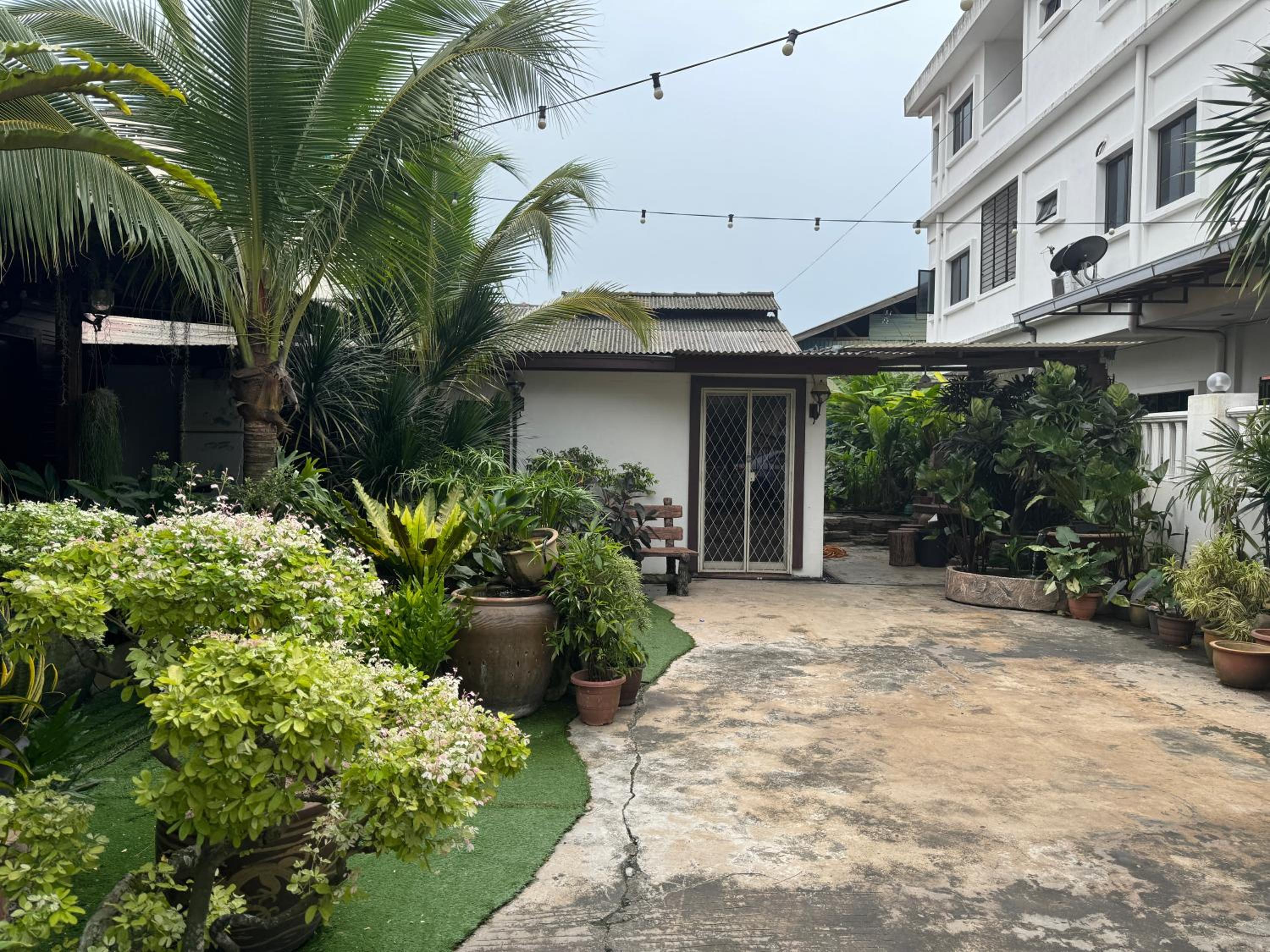 PJ Little Bali photo 3