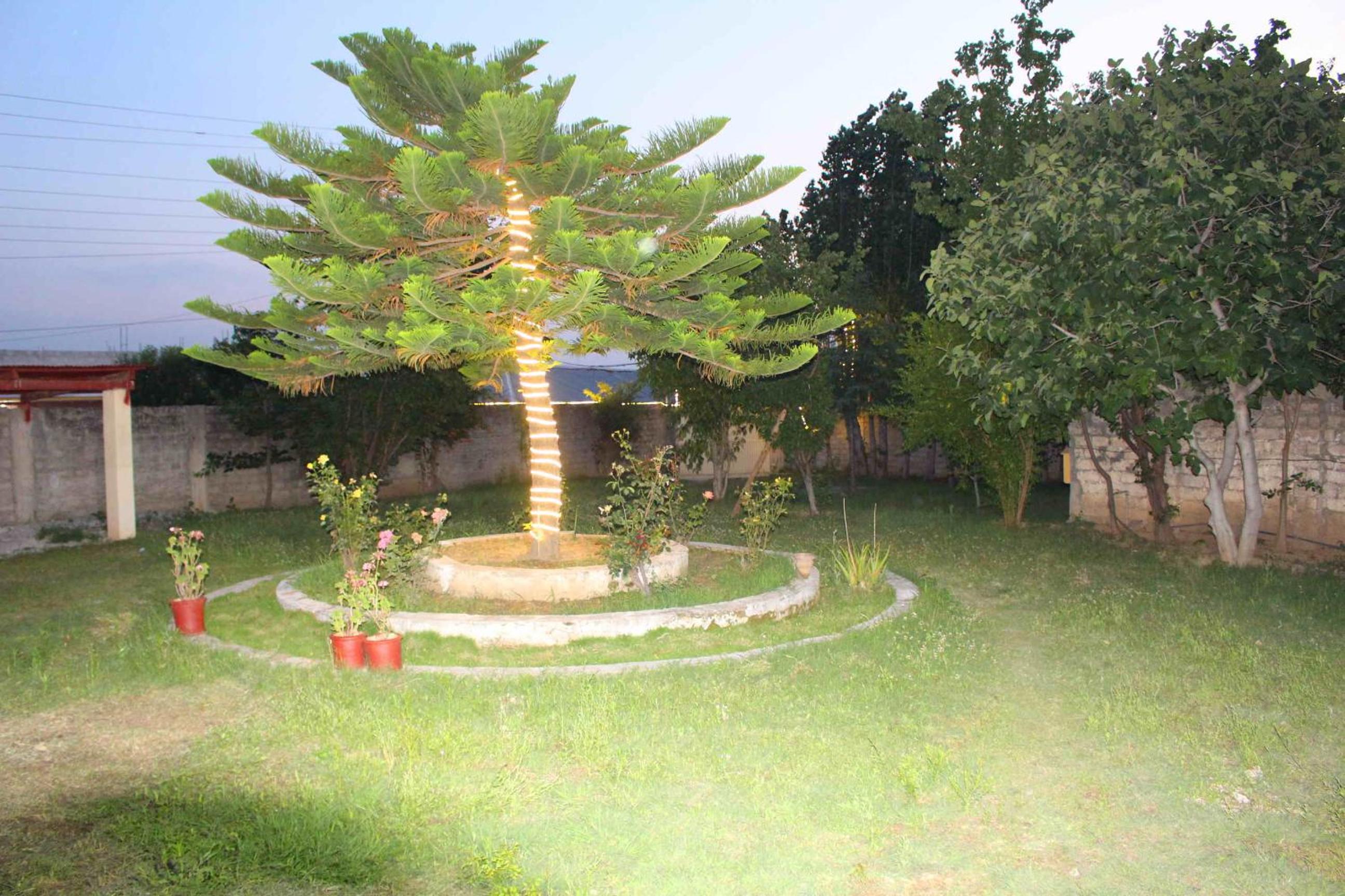 Photo 18