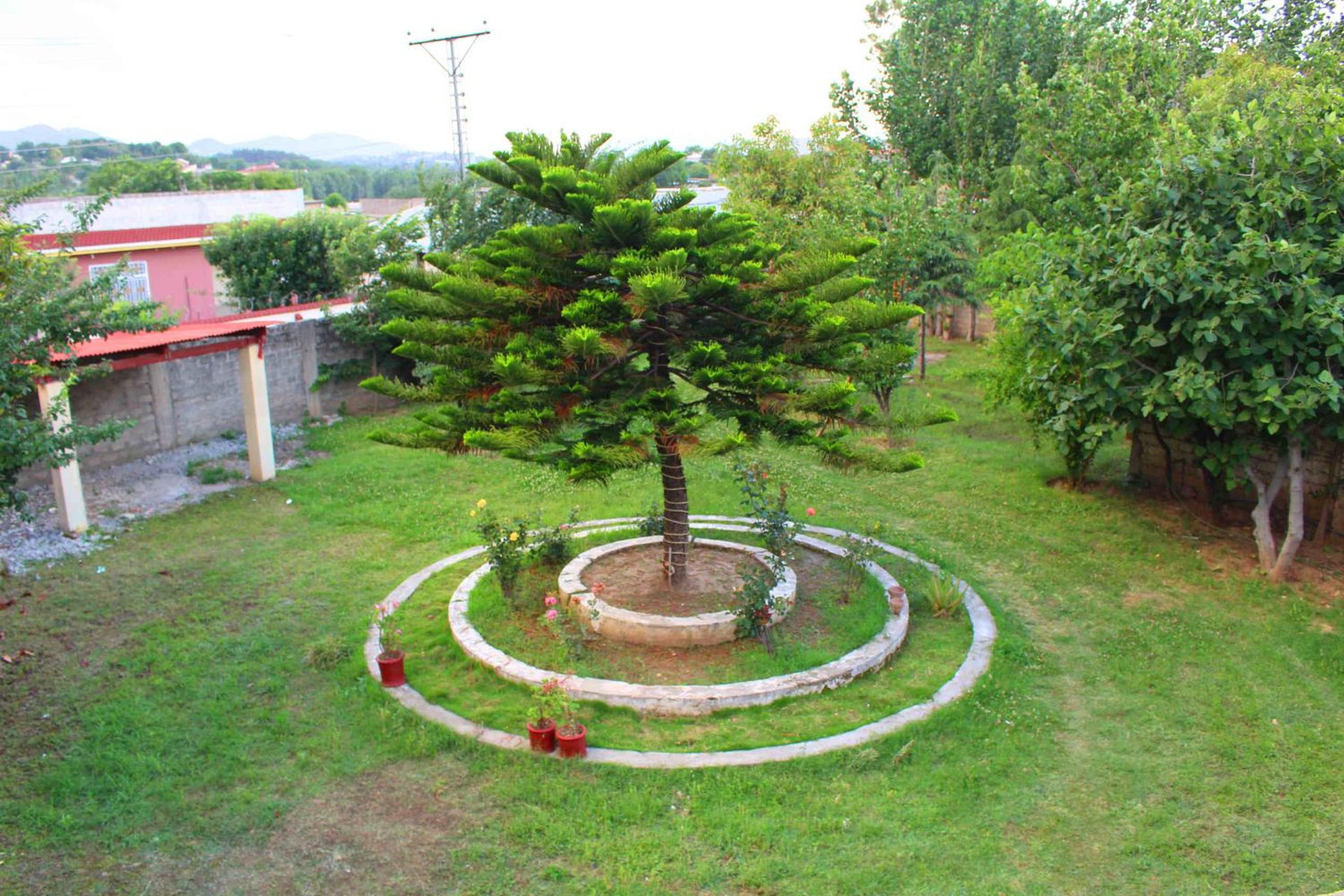 Photo 19
