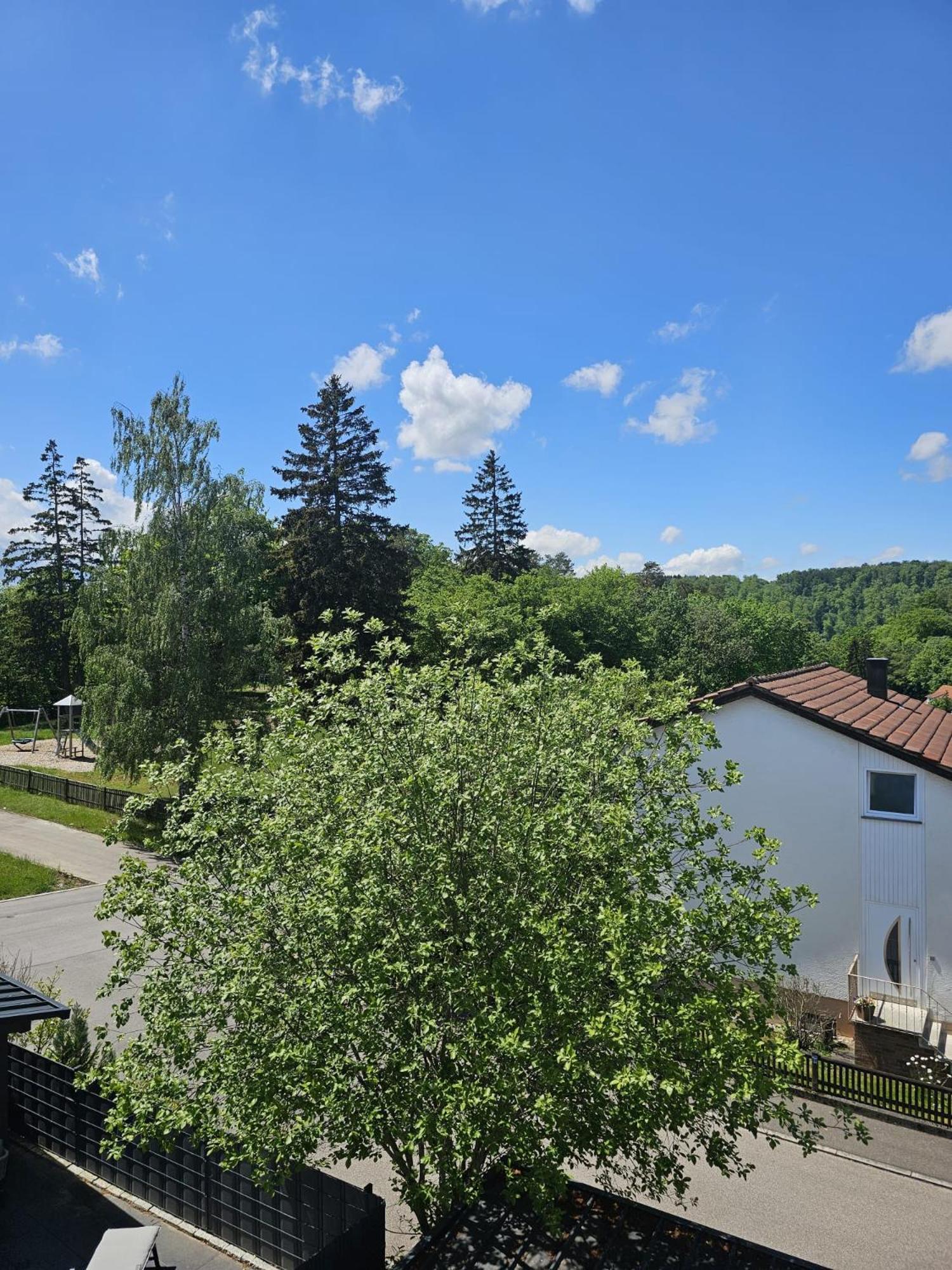 Lions Place Premium Apartments EXECUTIVE Luxus PENTHOUSE inklusive SPA