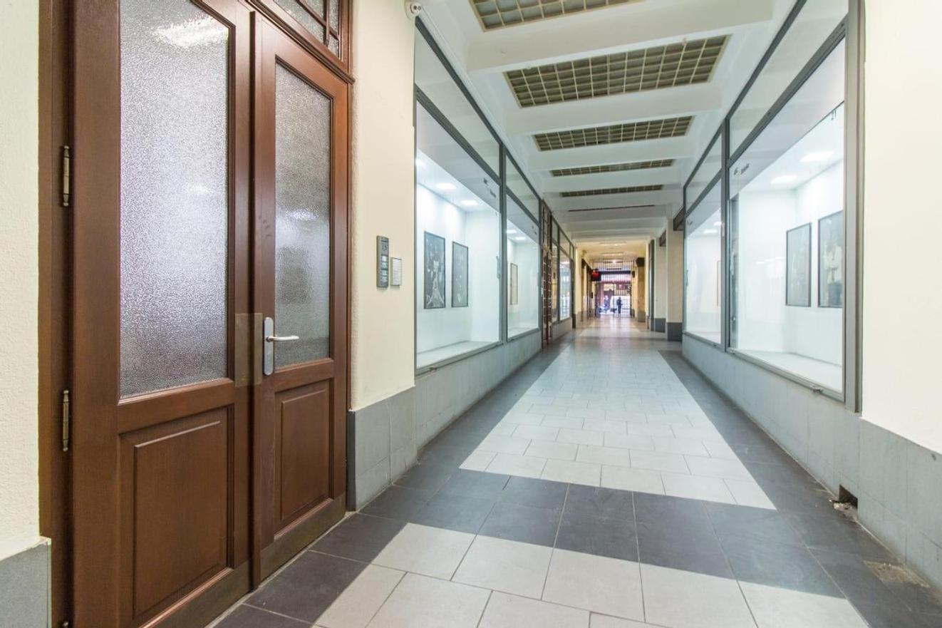 Beautiful and Spacious Apartment Wenceslas square