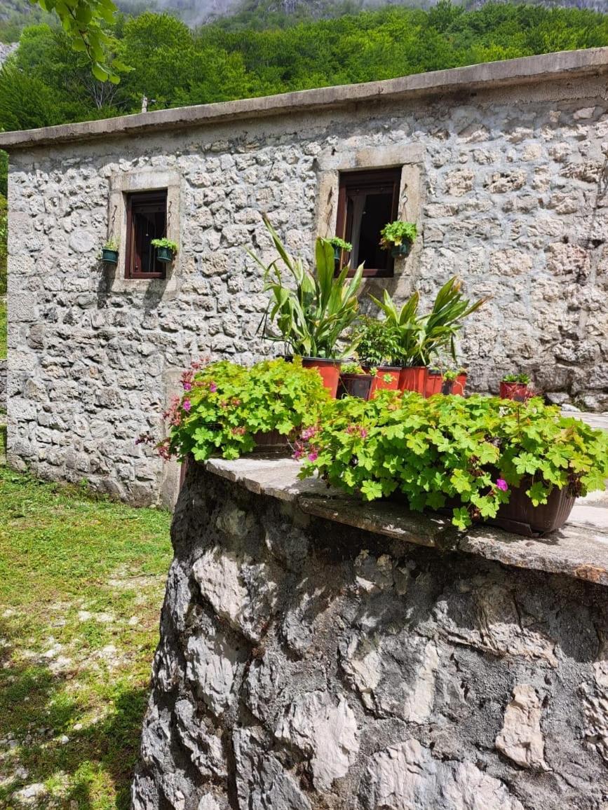 Nature Escape Montenegro view 3
