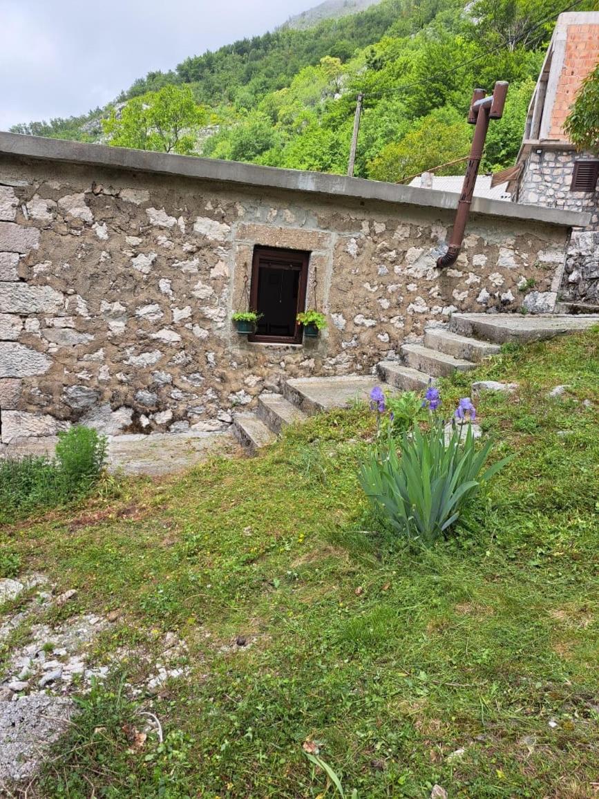 Nature Escape Montenegro view 5