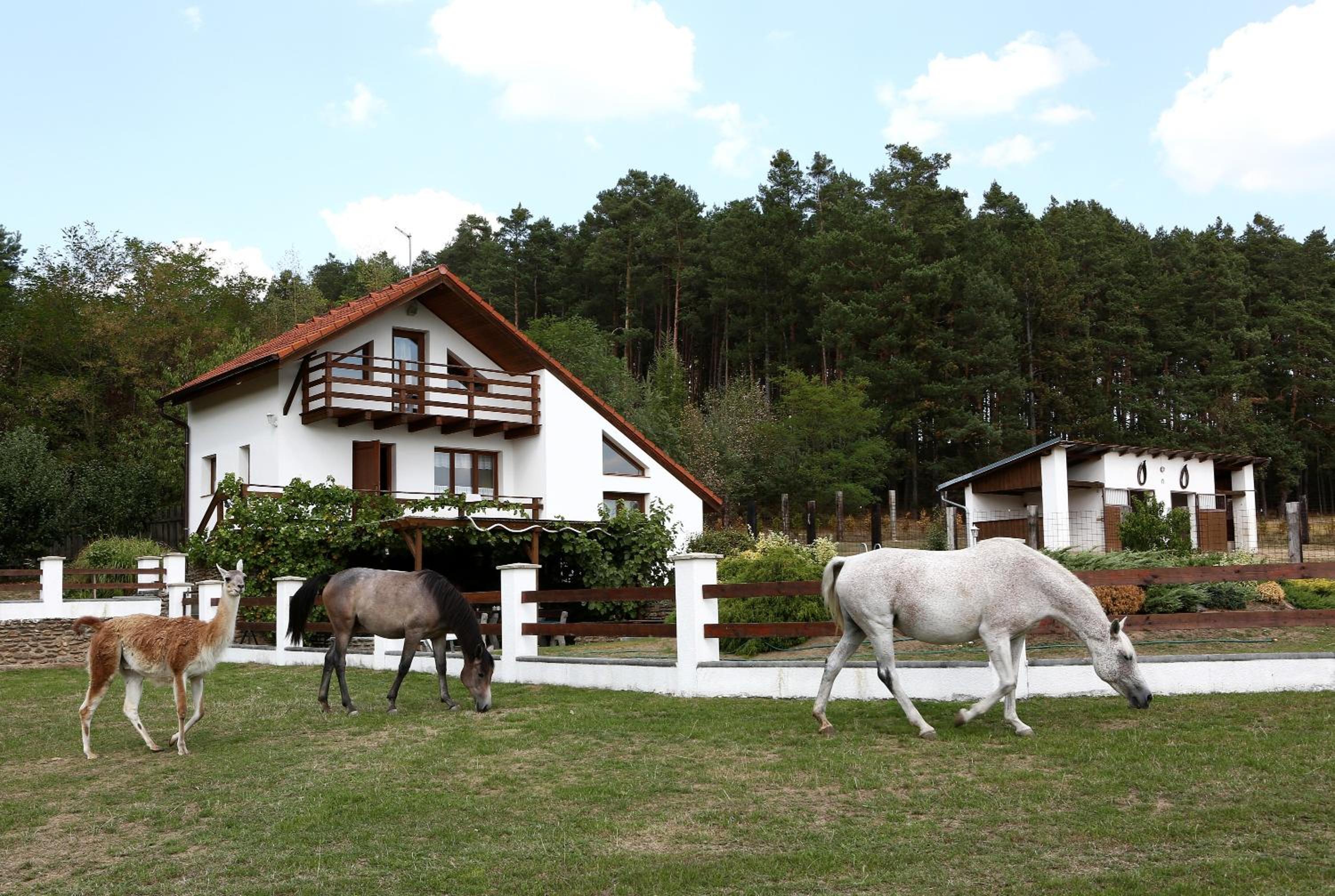 Na Samotě Ve Srubu