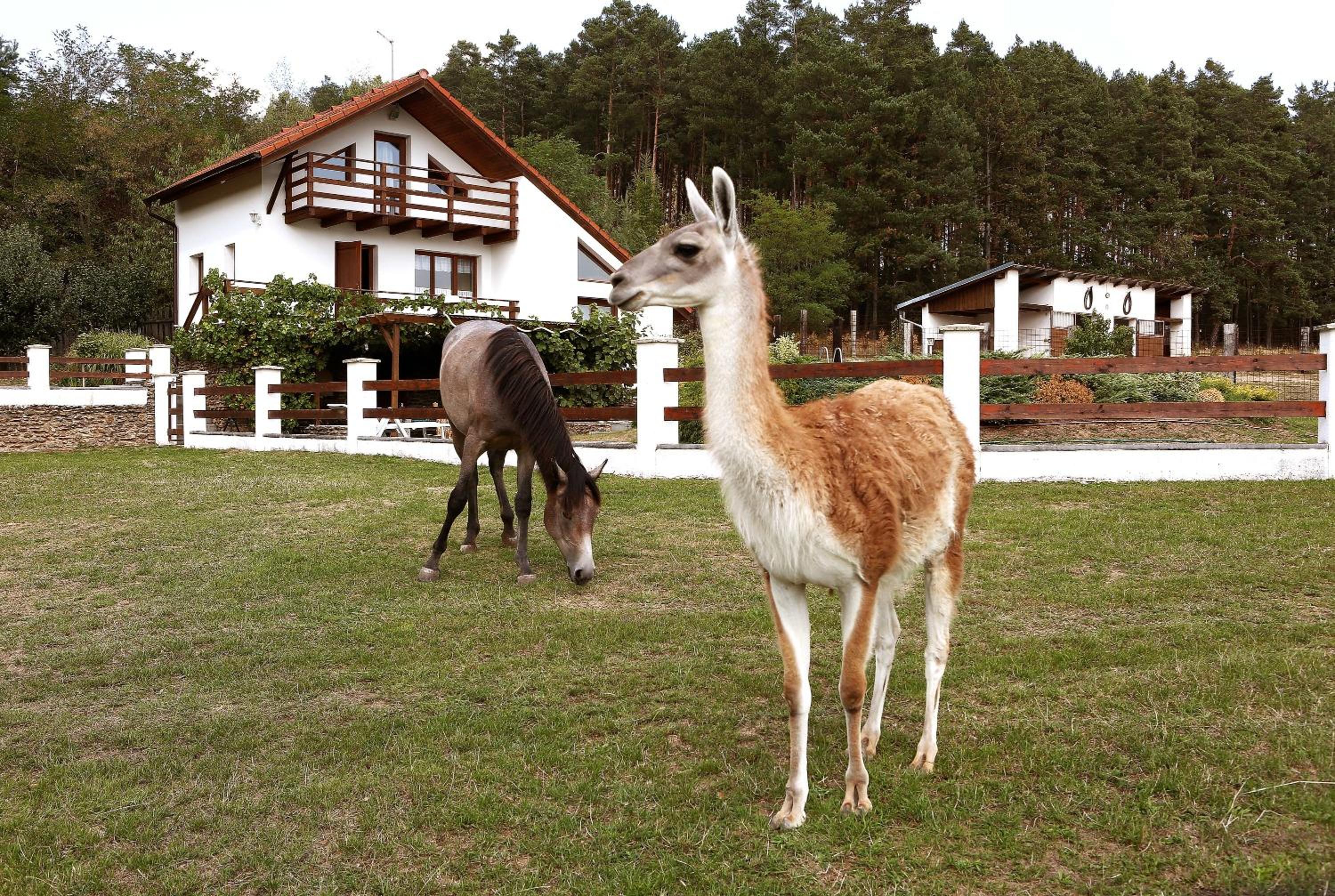 Na Samotě Ve Srubu