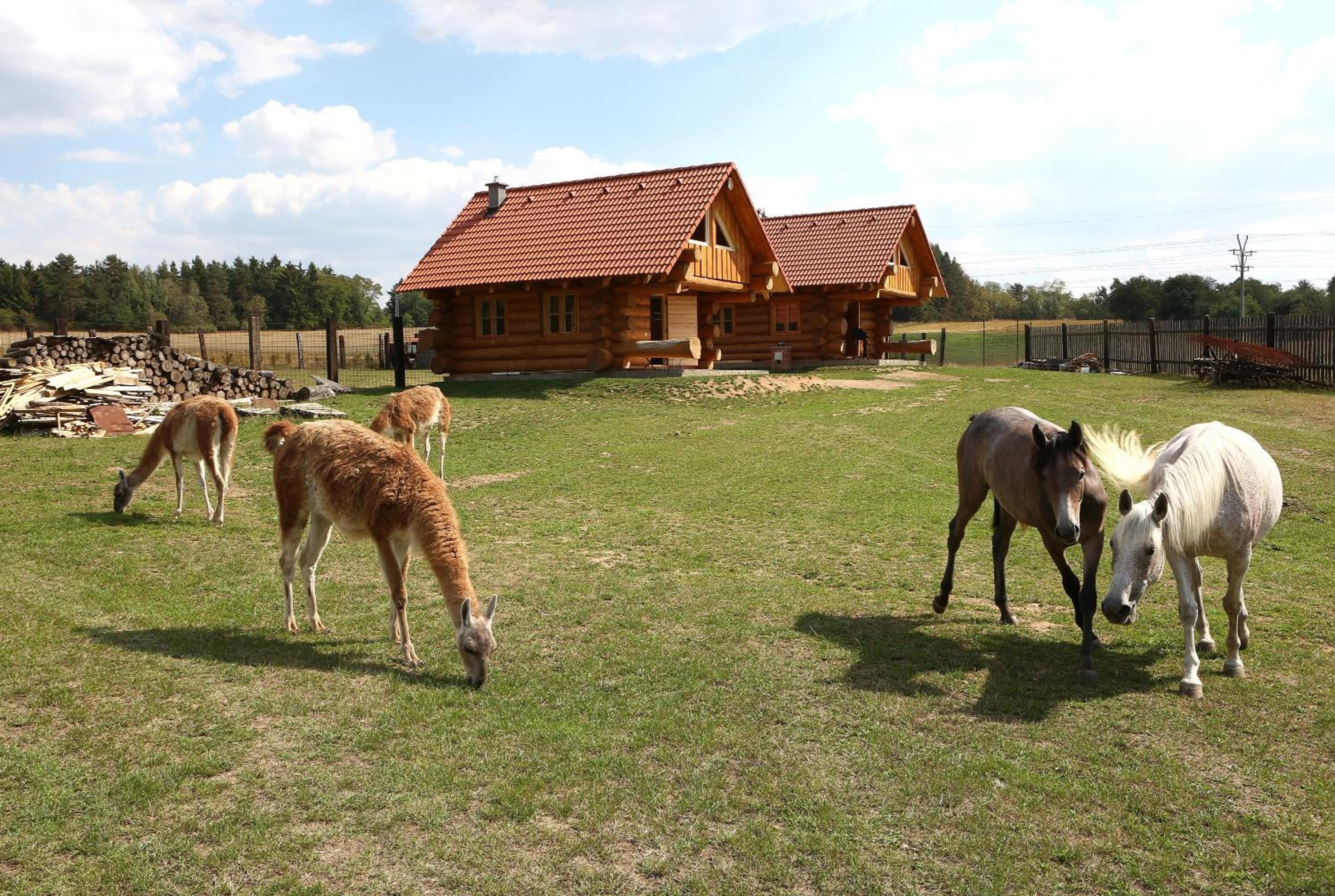 Na Samotě Ve Srubu