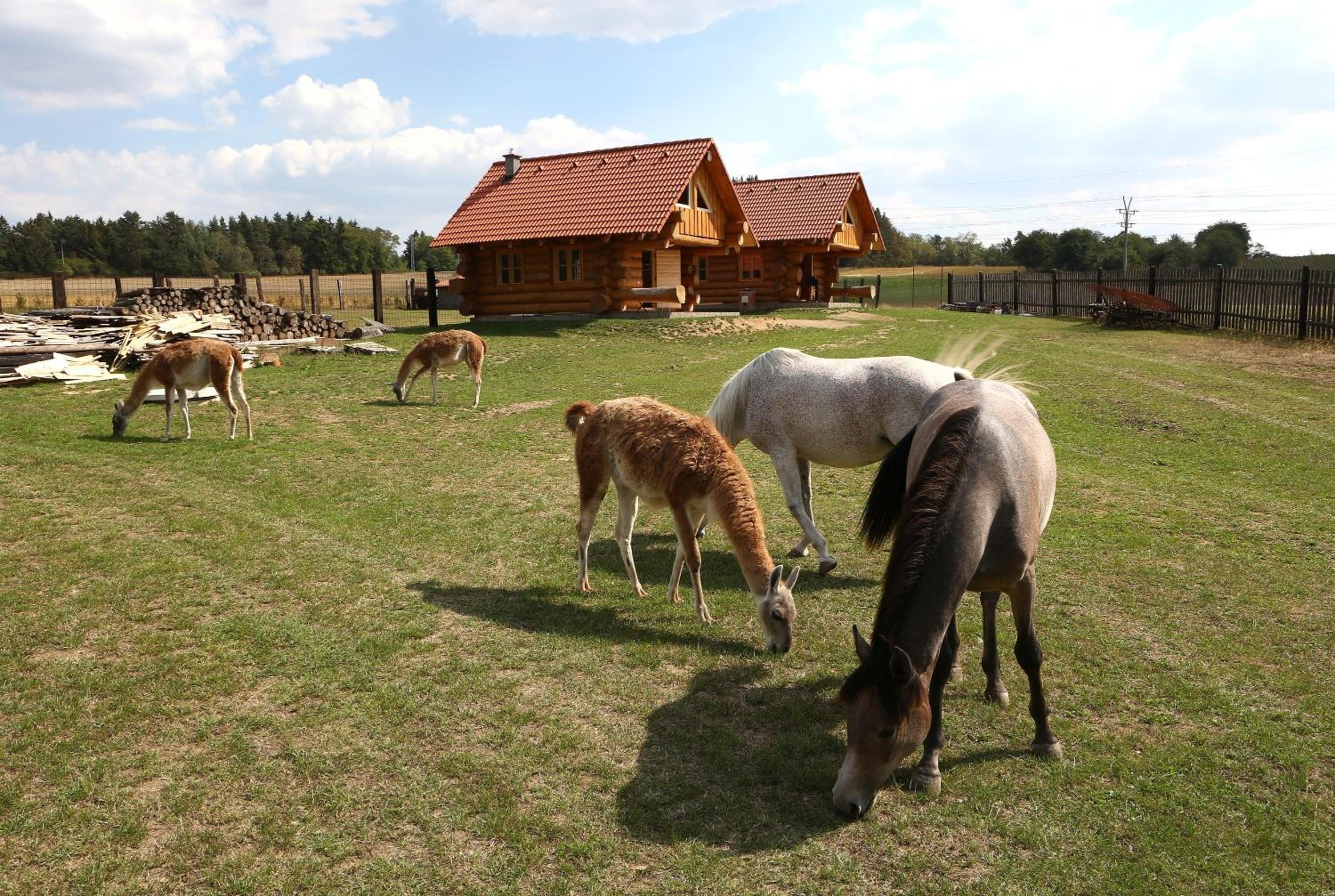 Na Samotě Ve Srubu