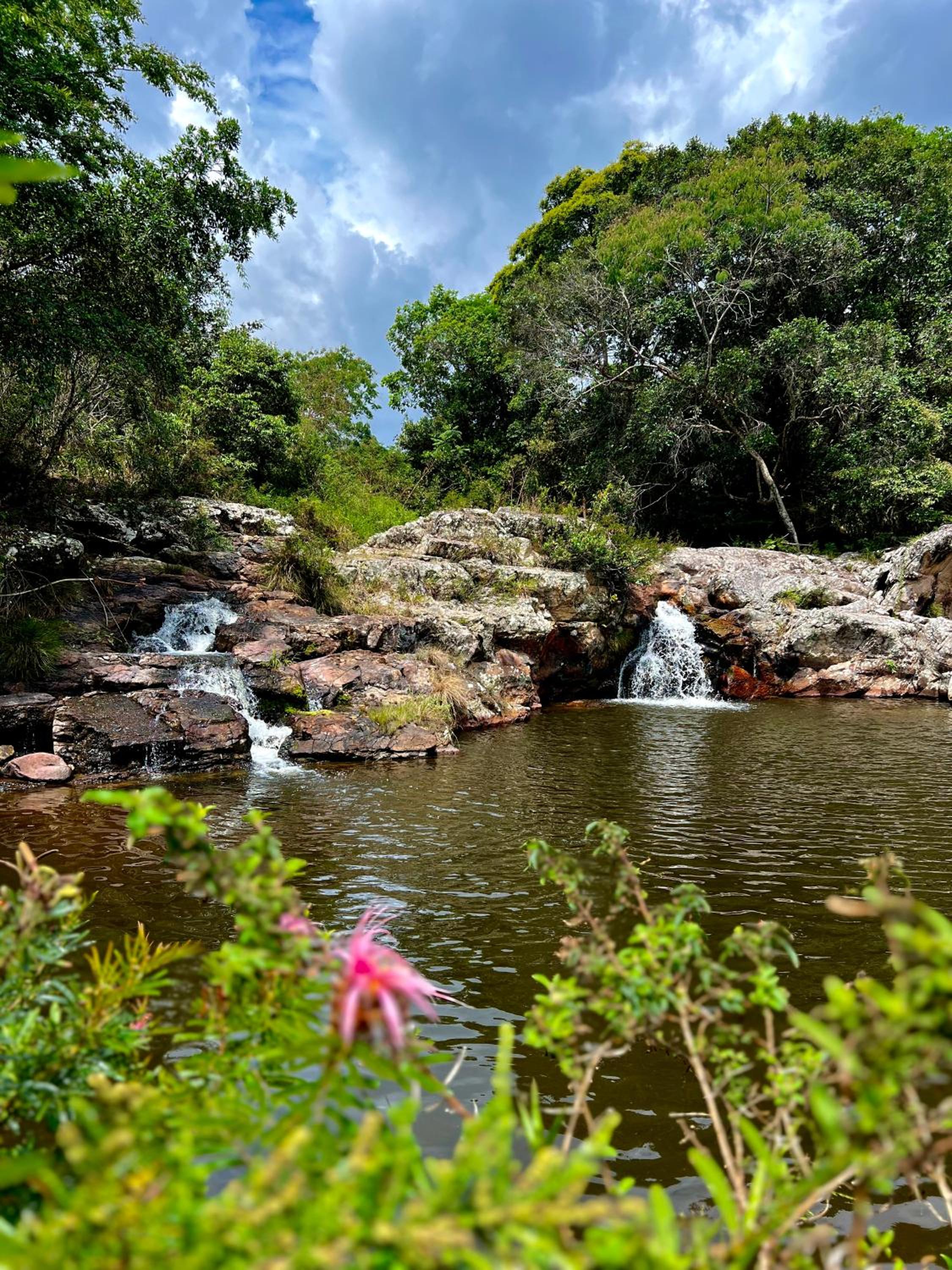 Reserva do Bosque Hospedaria e Natureza
