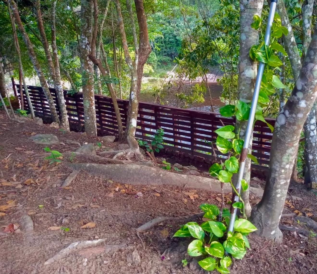 Reserva do Bosque Hospedaria e Natureza