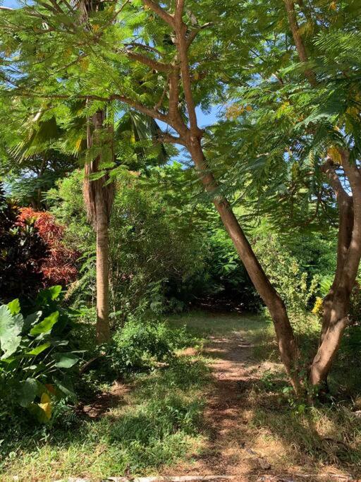 In-Africa, Comfy 1BD with Pool, Free WIFI and Beach Access in Zanzibar view 4