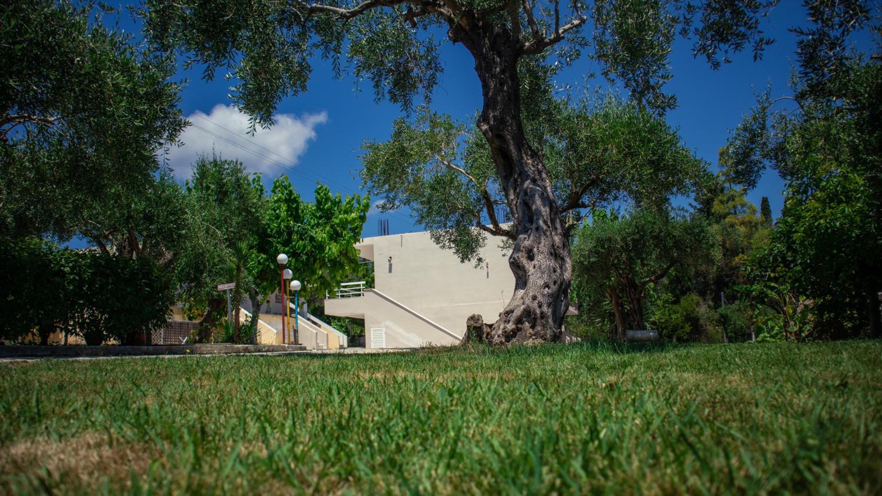 Calypso Resort Kavos photo 3