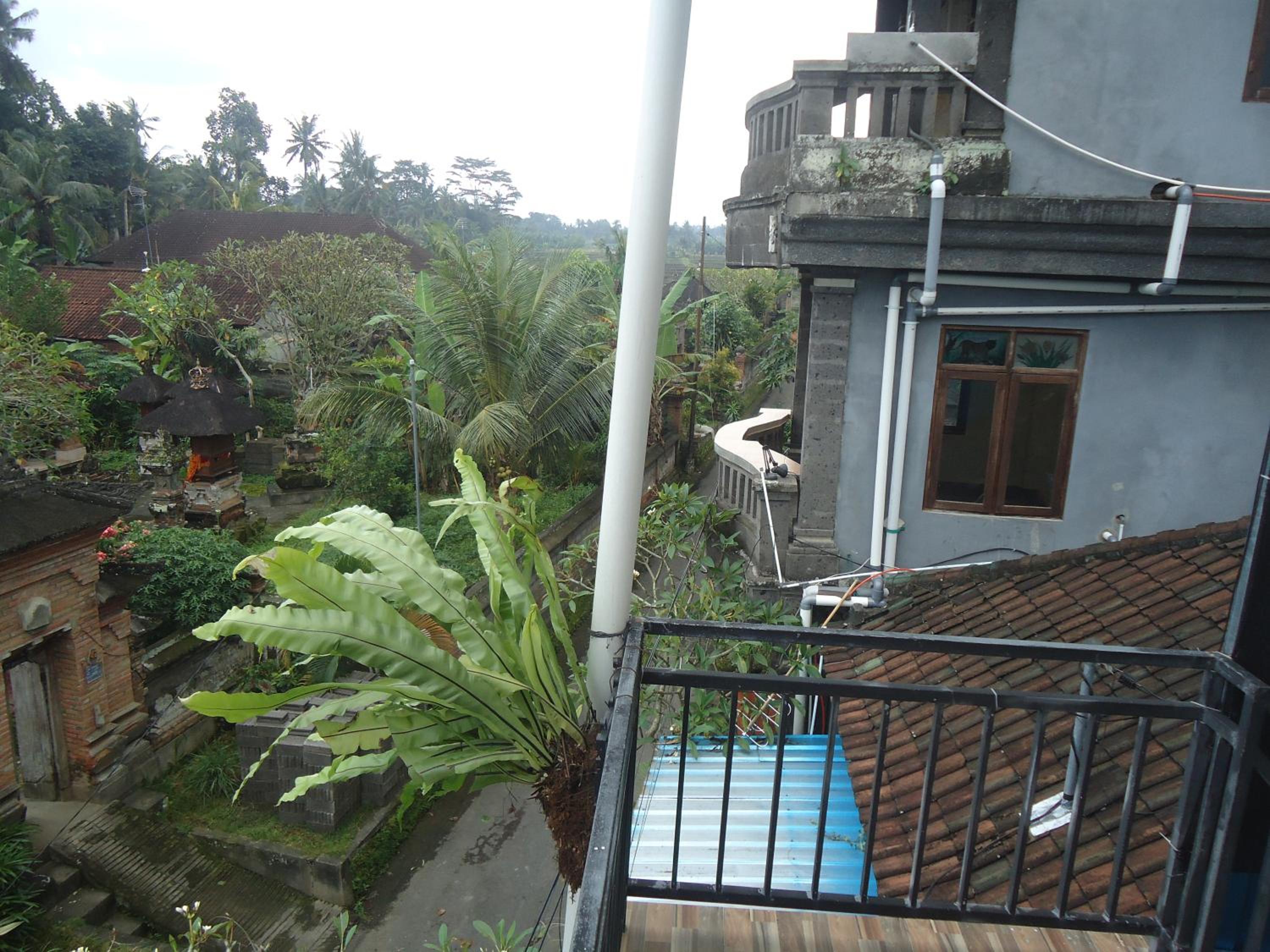 Kenari Diwang