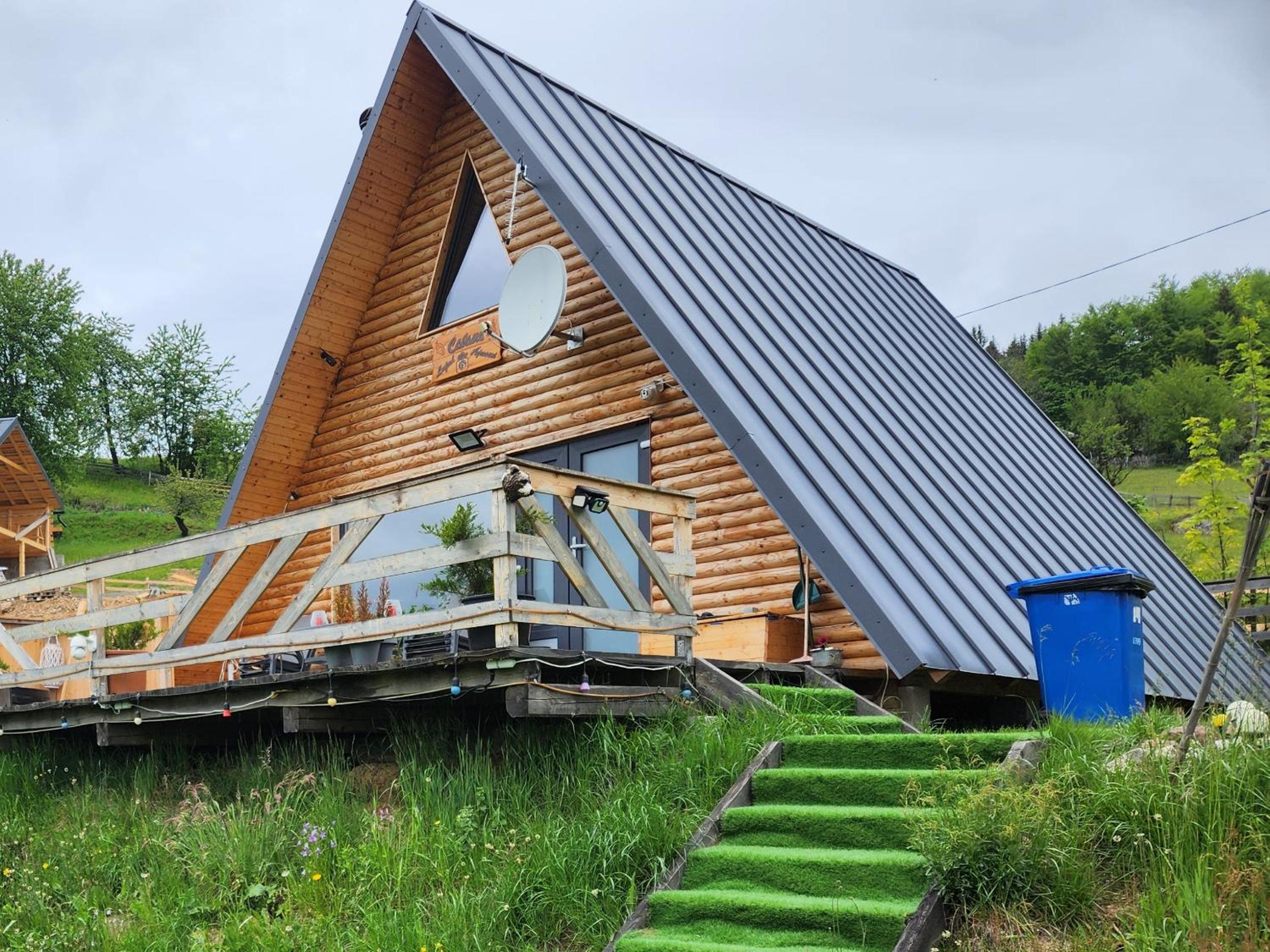 Photo 41