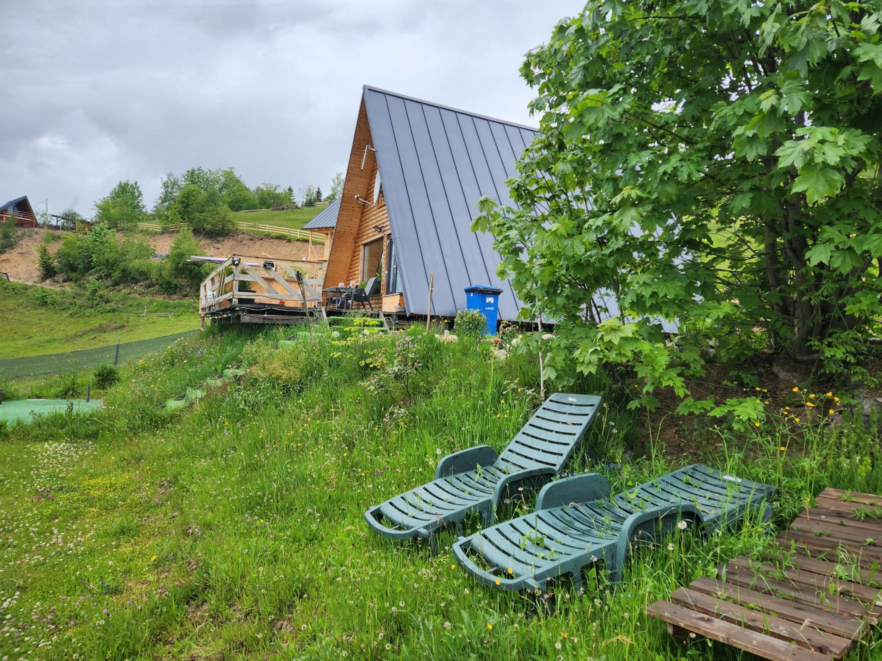 Photo 40