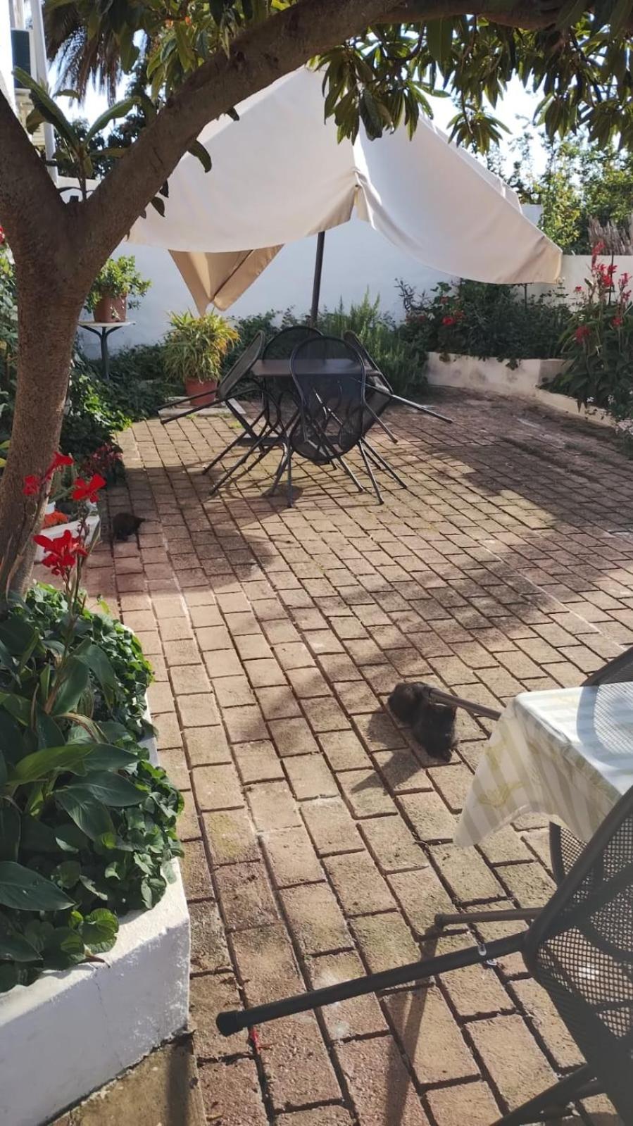 CASA JUANNE iun P2043