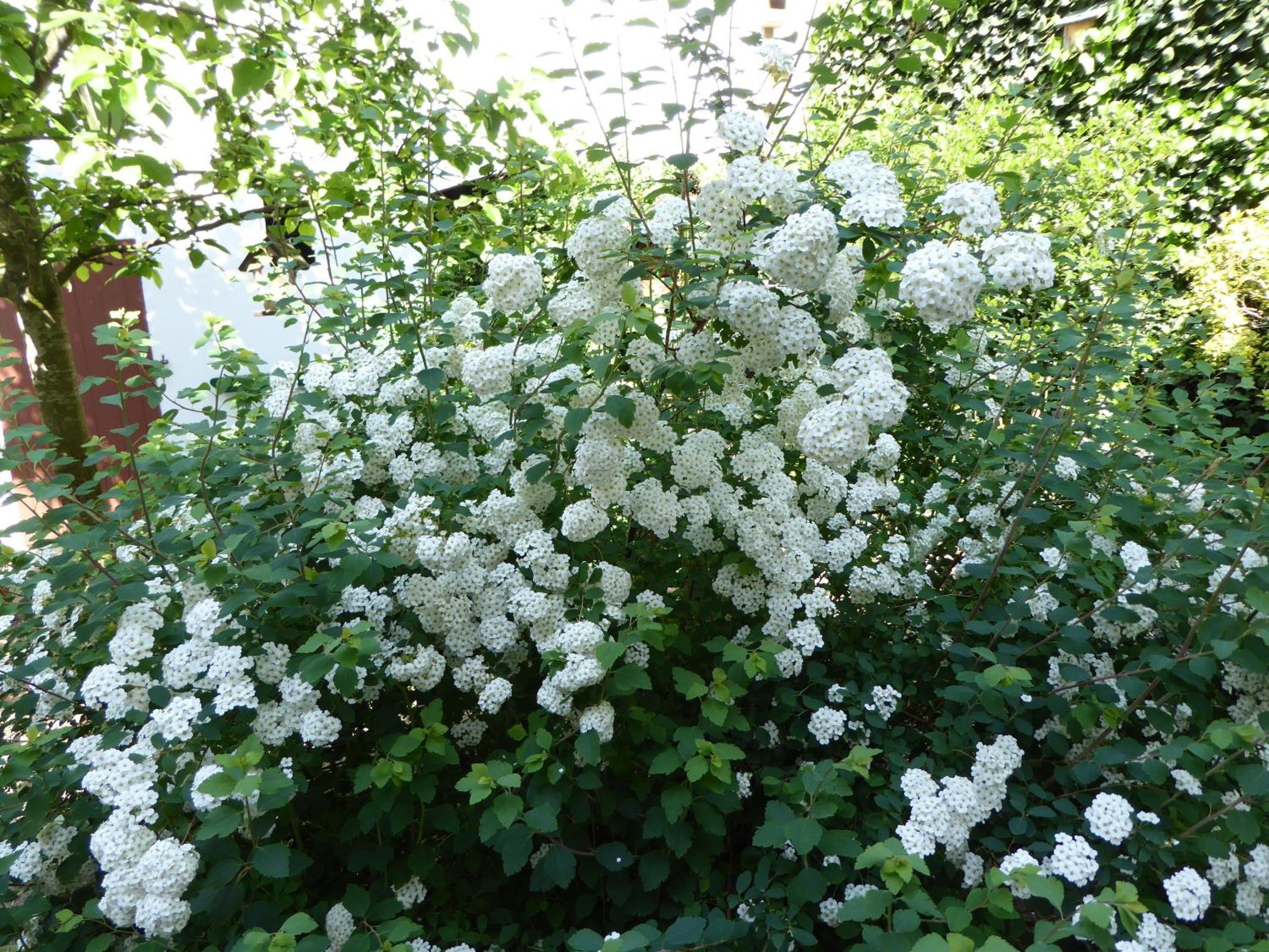 Photo 49