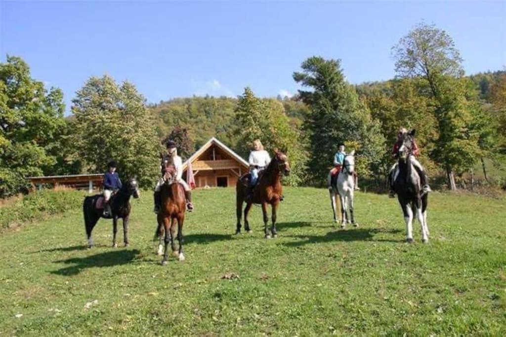 Cottage Žirovnica
