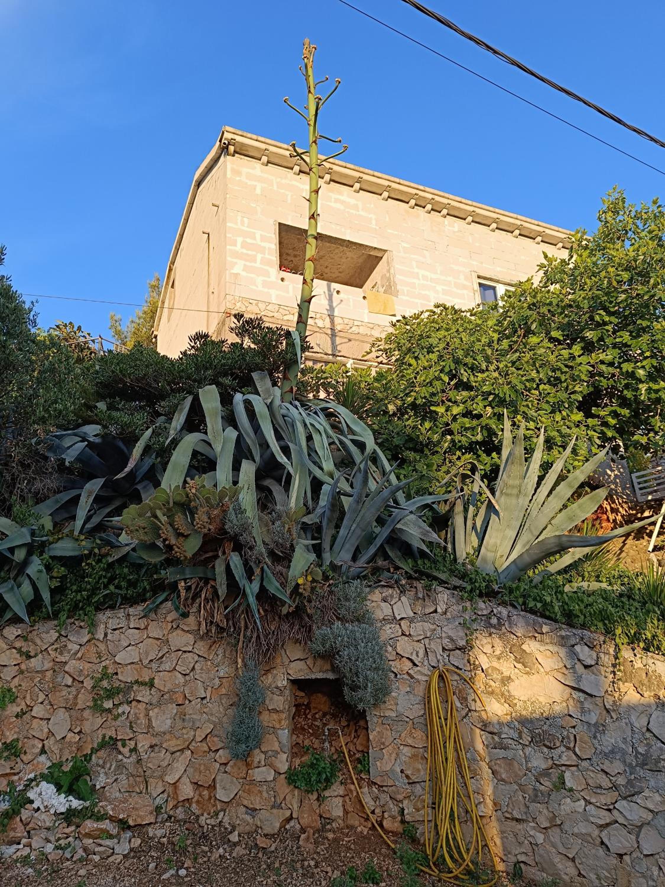 ApartMarin