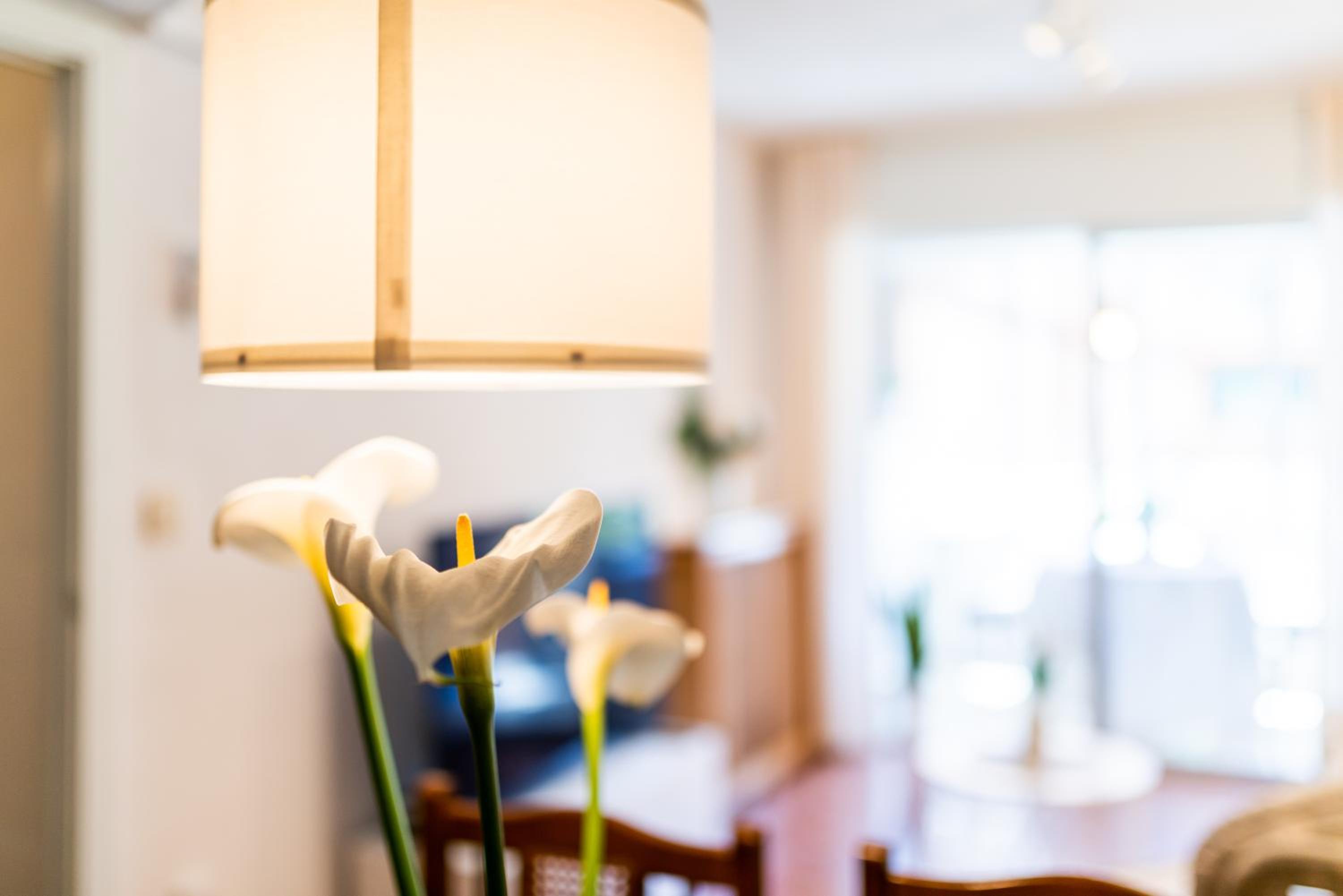 Apartamento Turismo Granada