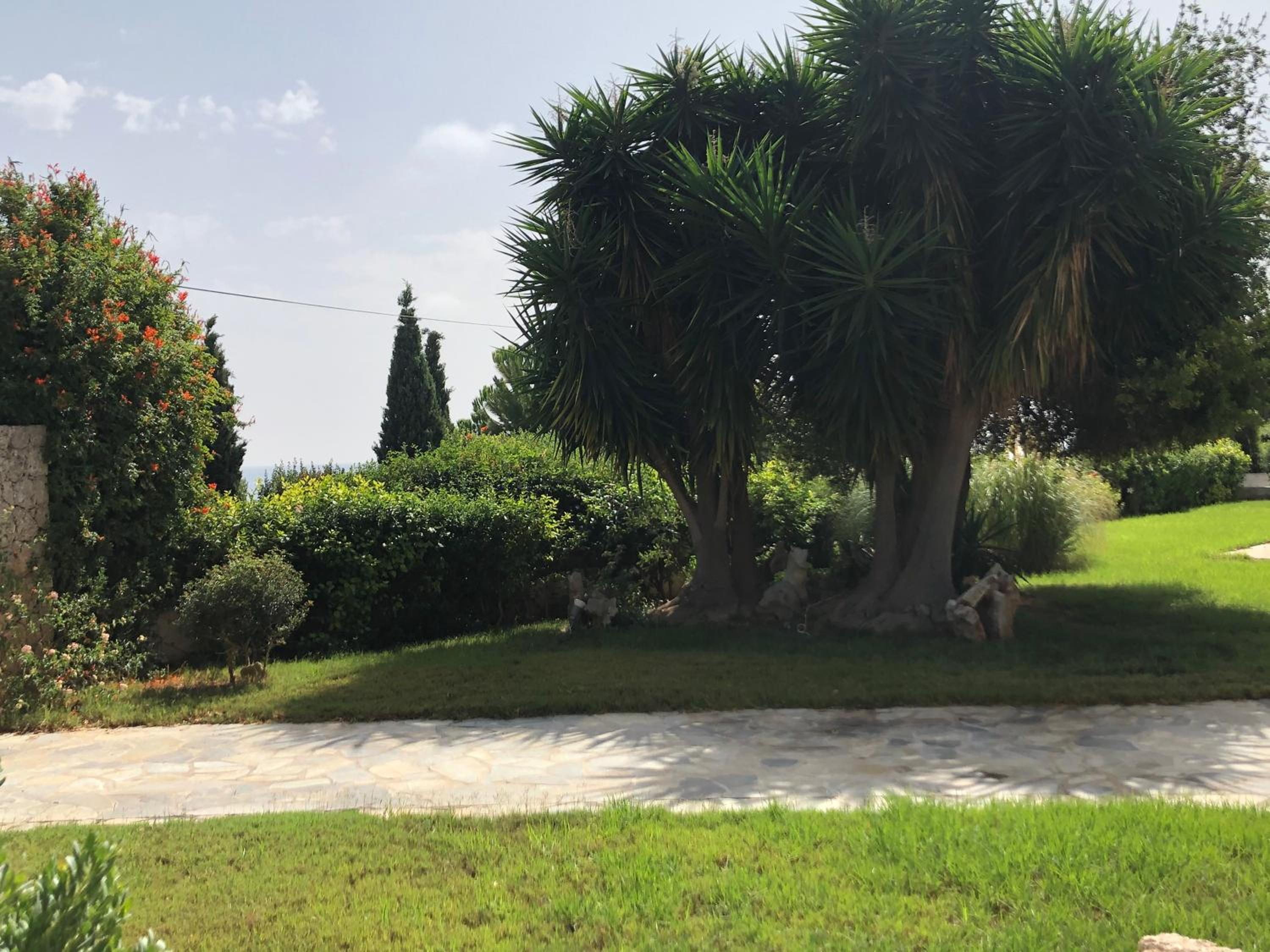 Villa Alexandros