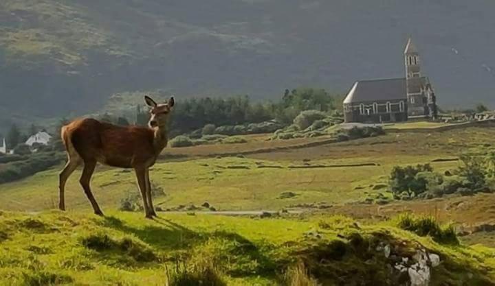 Errigal Apartment
