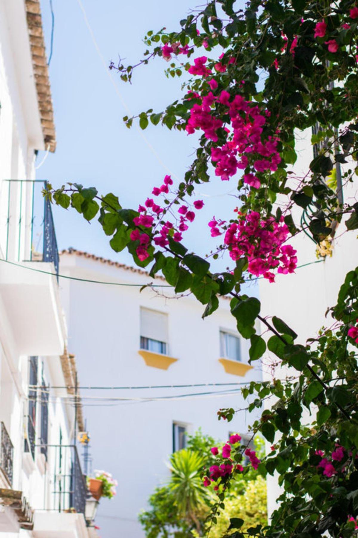 Superior 3BR GolfLA Apartment Minutes from Puerto Banus & Marbella