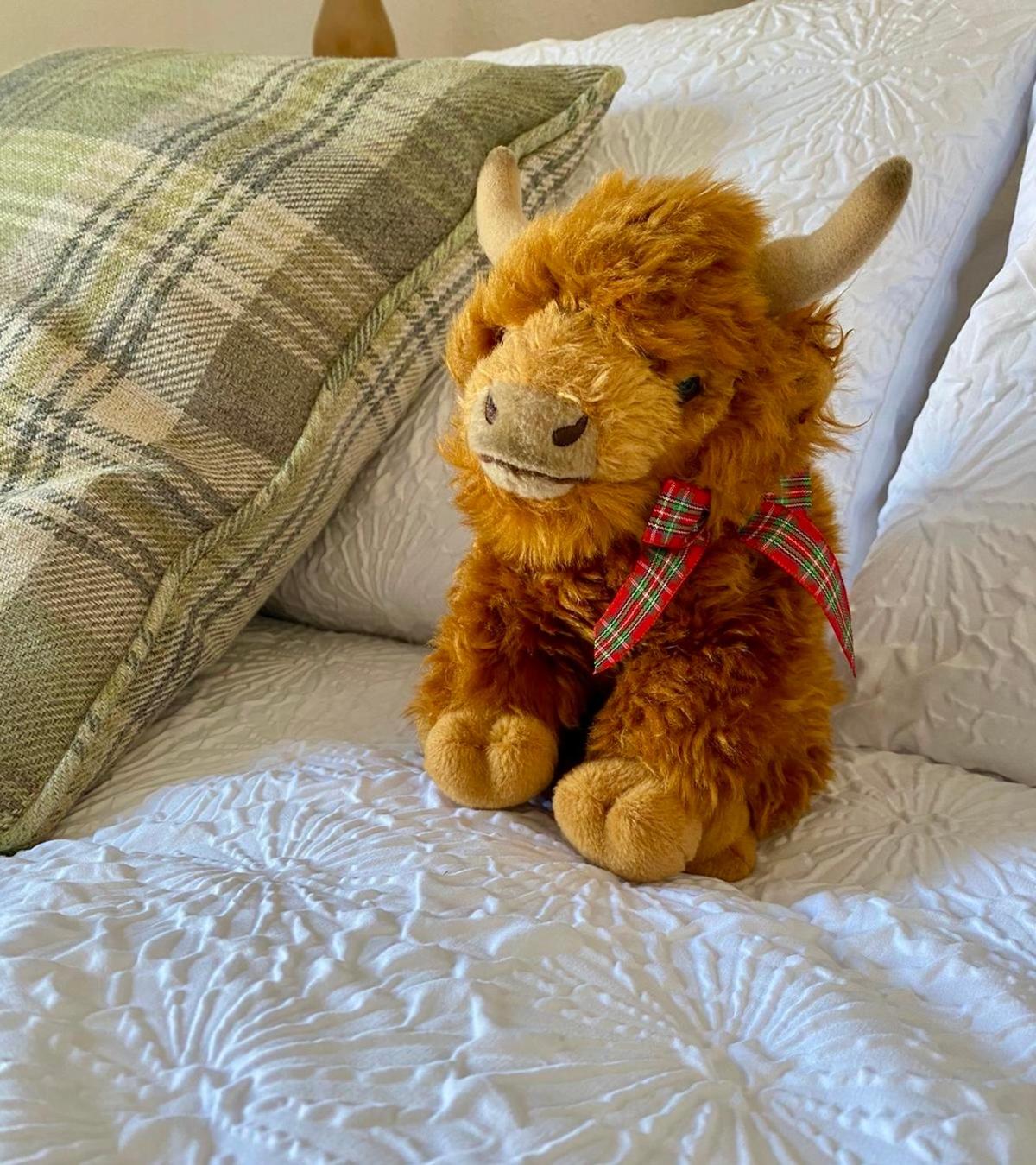 Bruachdryne Braemar Accommodation