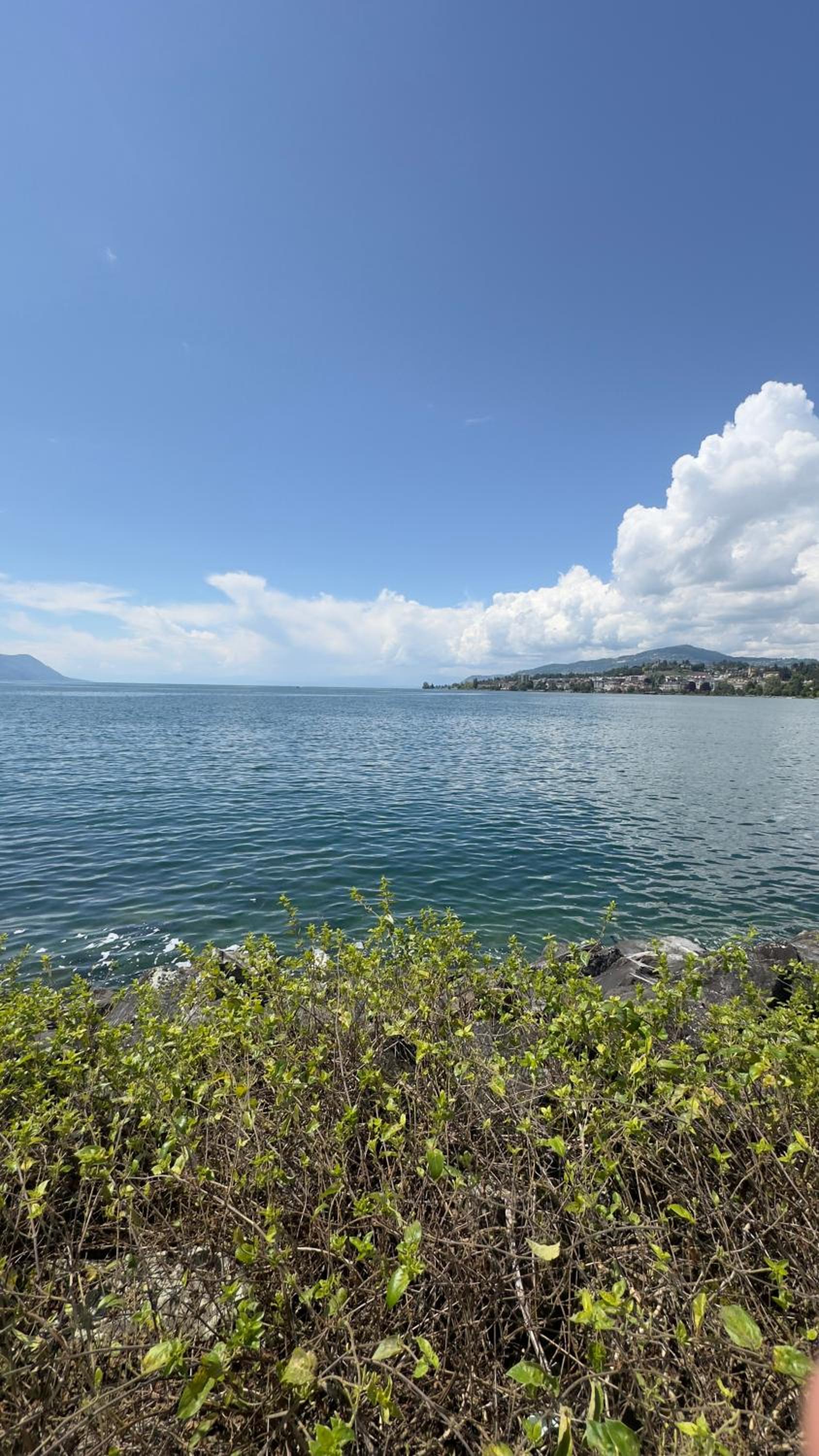 Montreux centre ville lac appartement