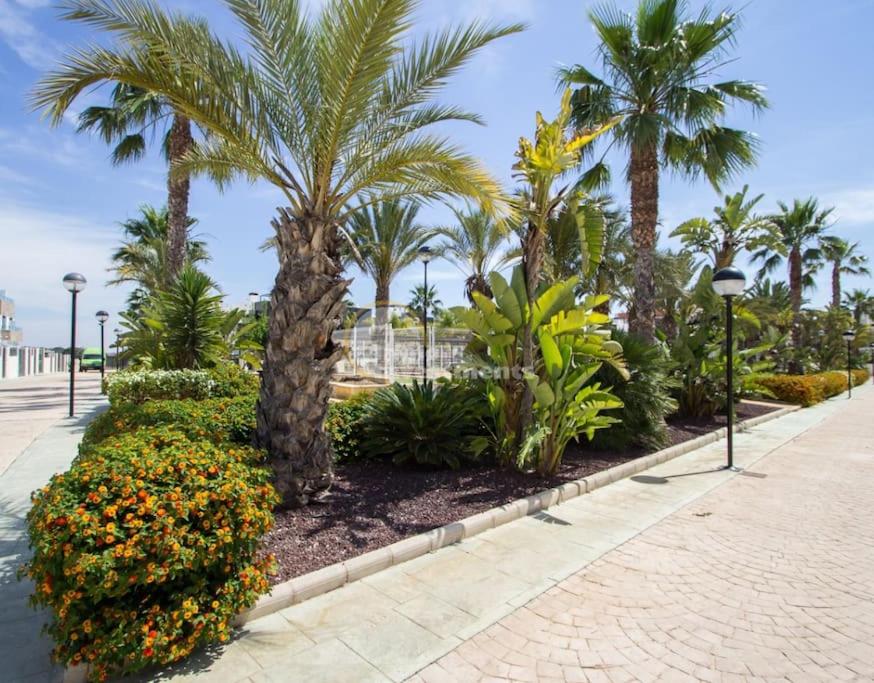 Townhouse La Zenia-Villamartin Perfect holiday!