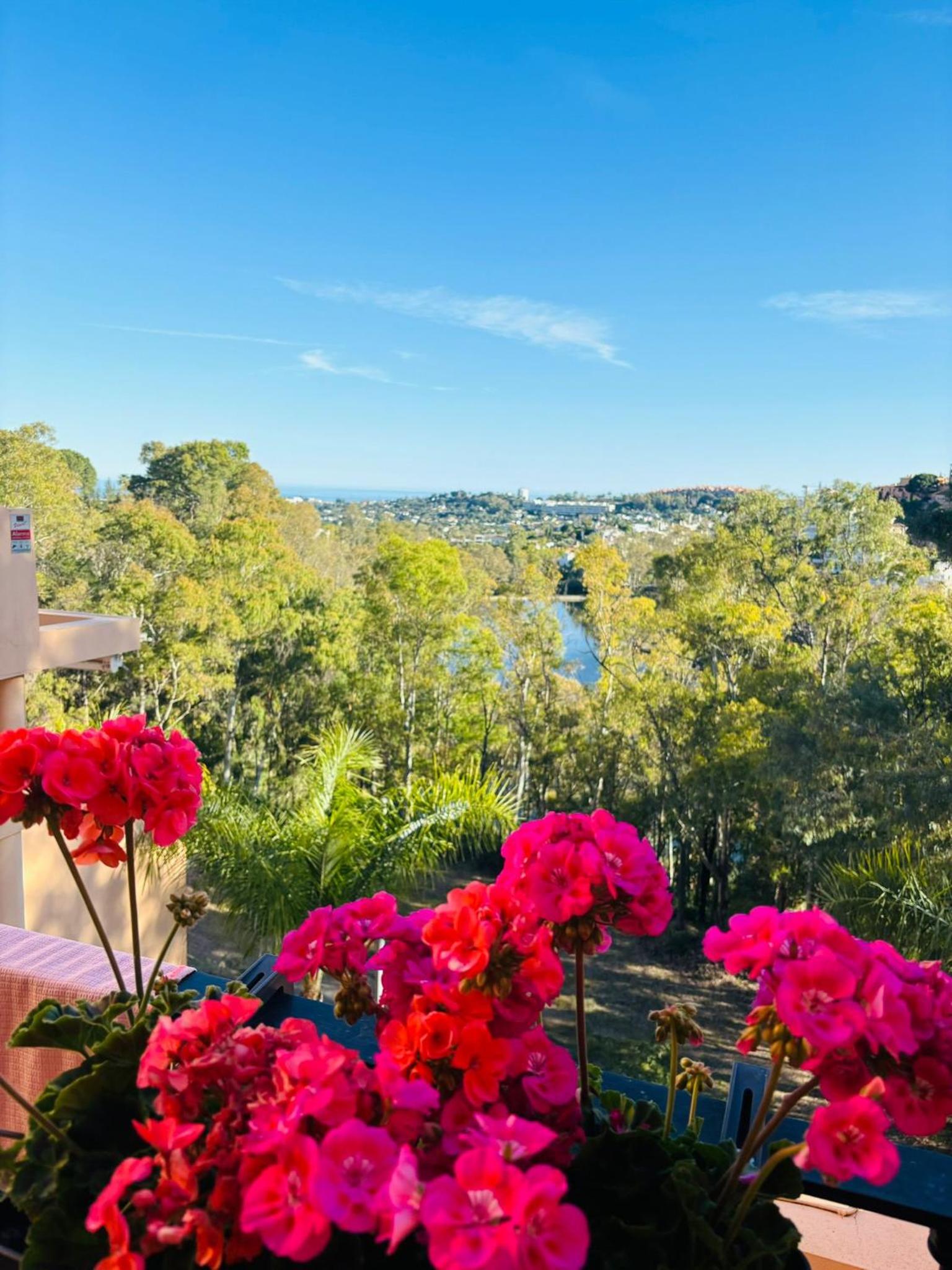 Luxury seaview apartment in Marbella located in a secure gated community with swimming pool and large terrace Perfect for families visiting Marbella and Pu view 4