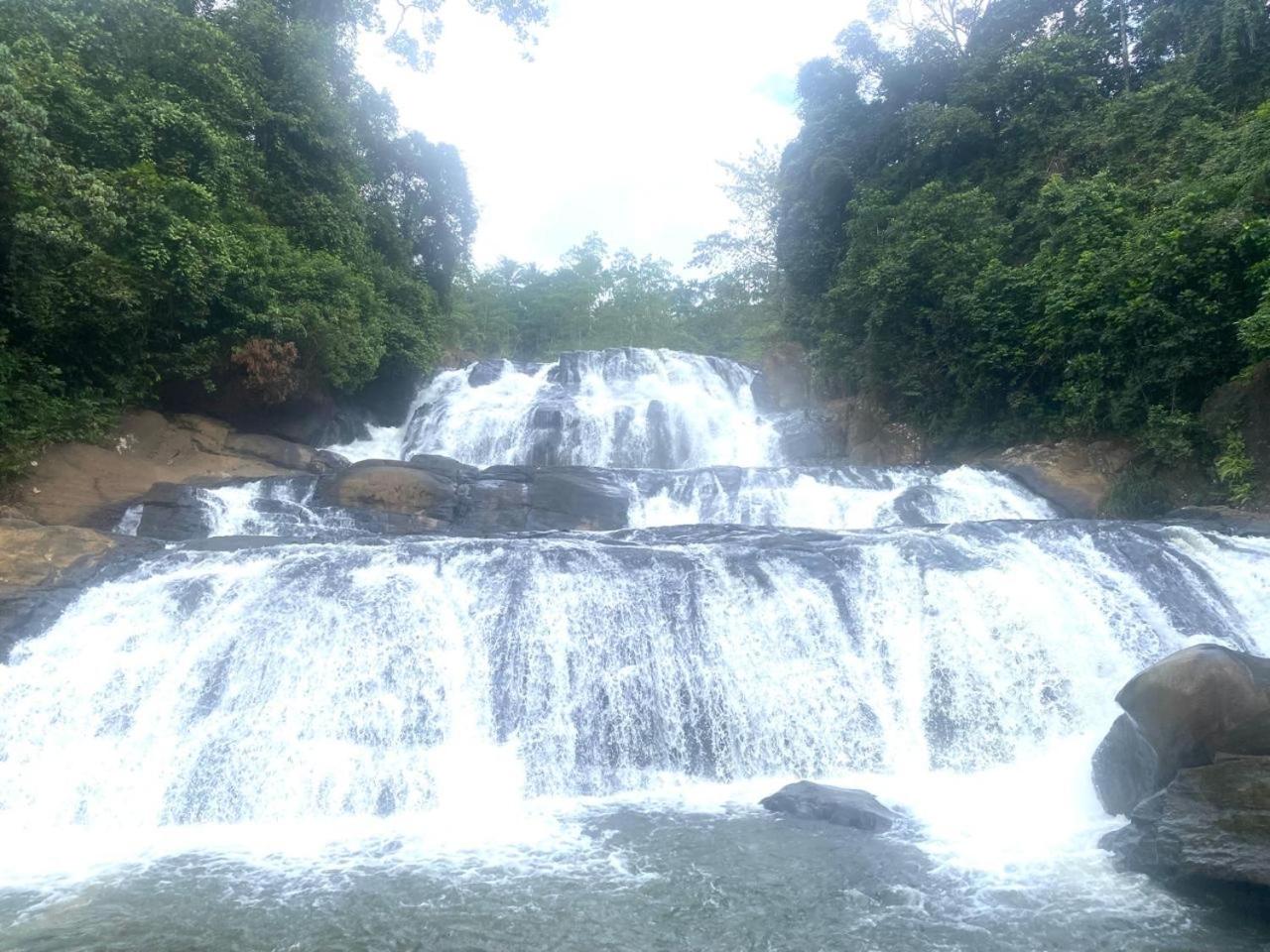 Sinharaja Riverside