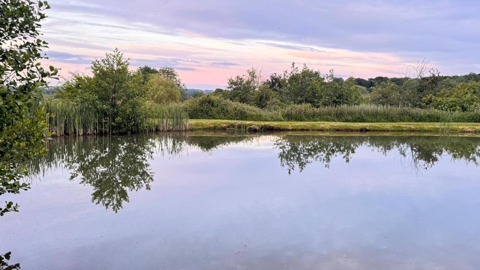 Bransford Farm Fishery & B & B view 5