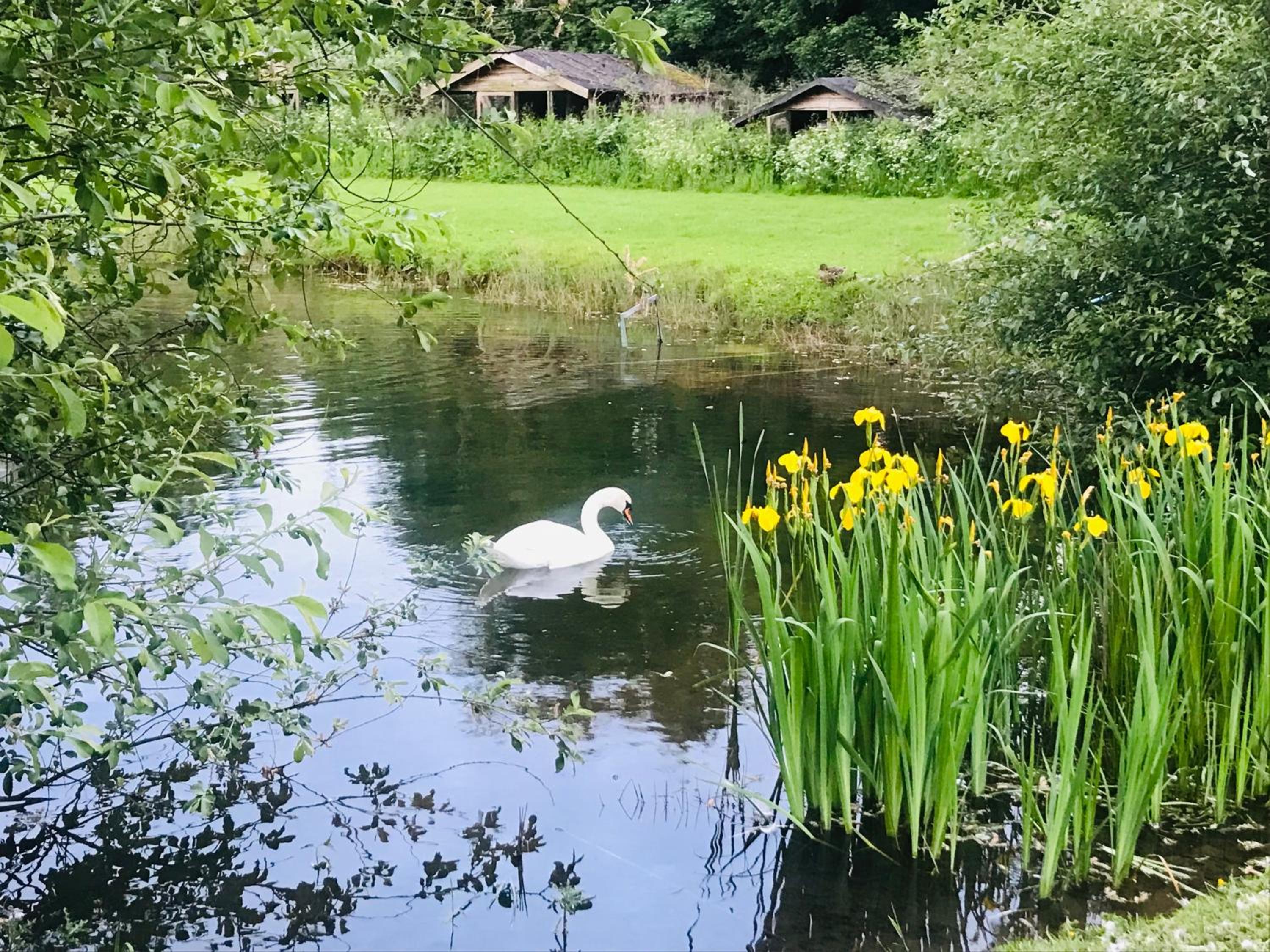 Bransford Farm Fishery & B & B view 3