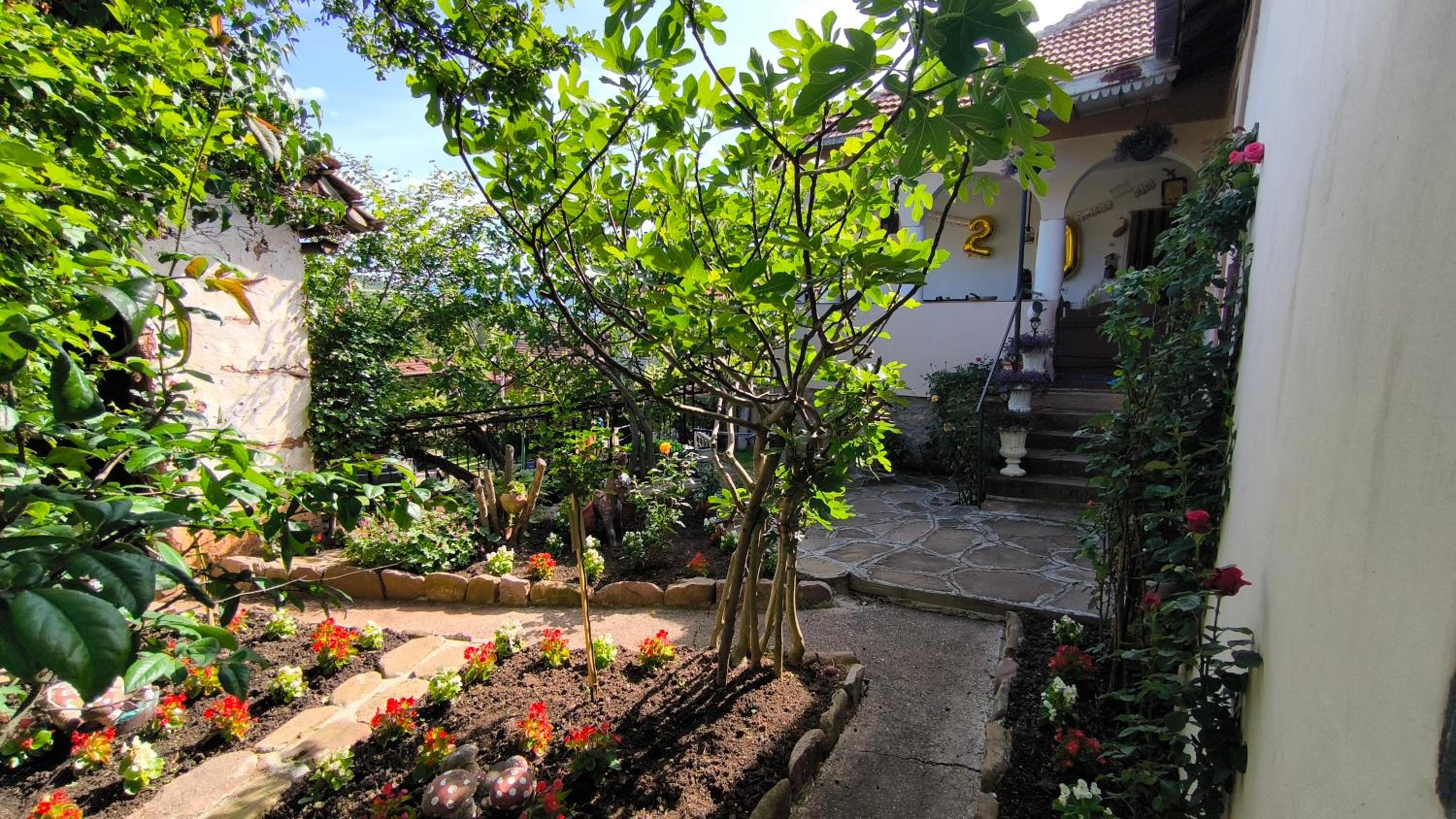 Vila Kruna