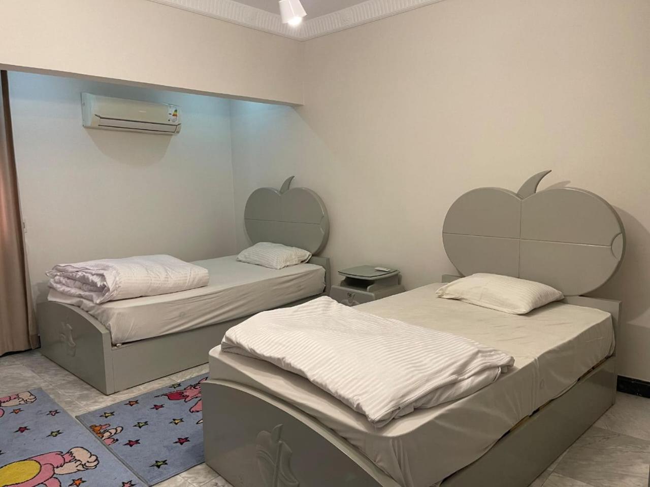 Luxury Apartment Nasr City