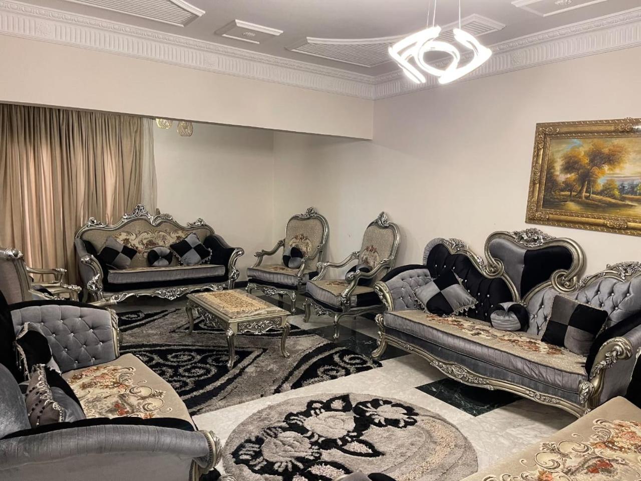 Luxury Apartment Nasr City