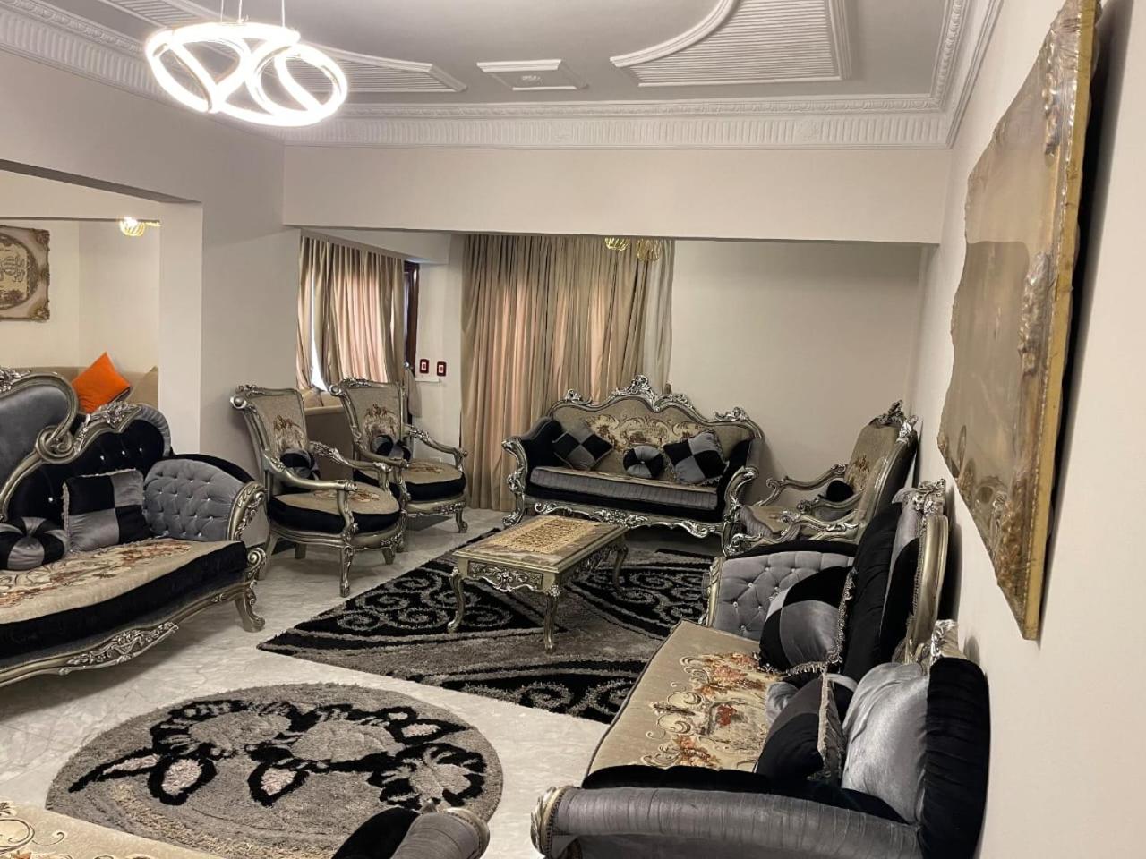 Luxury Apartment Nasr City