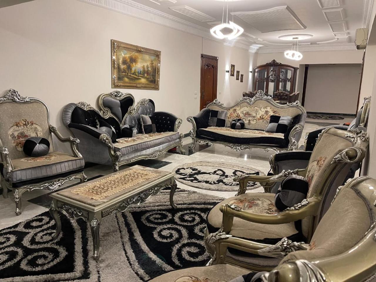 Luxury Apartment Nasr City