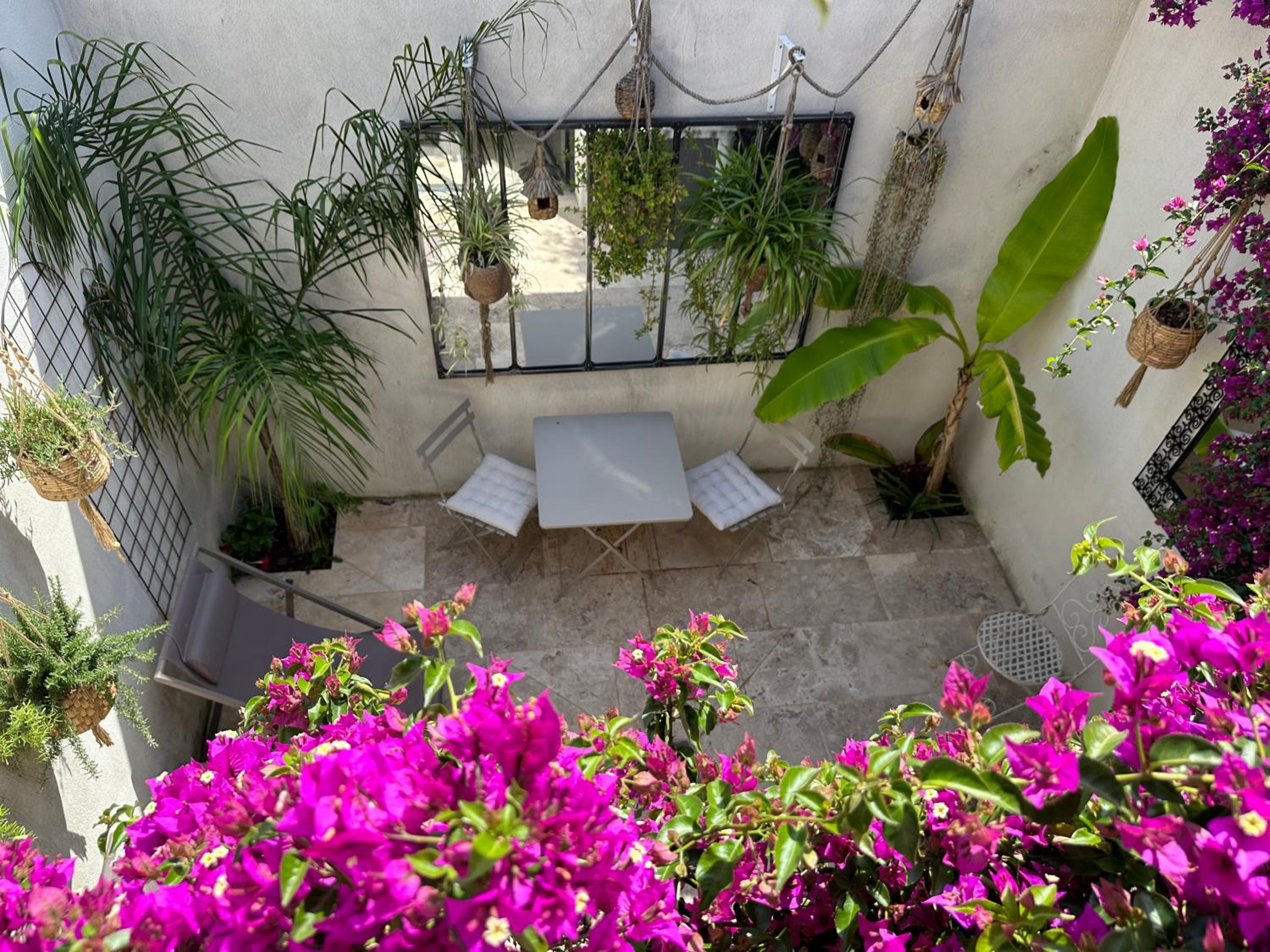 Appartements 3 étoiles terrasse ou patio intra-muros, photo 22