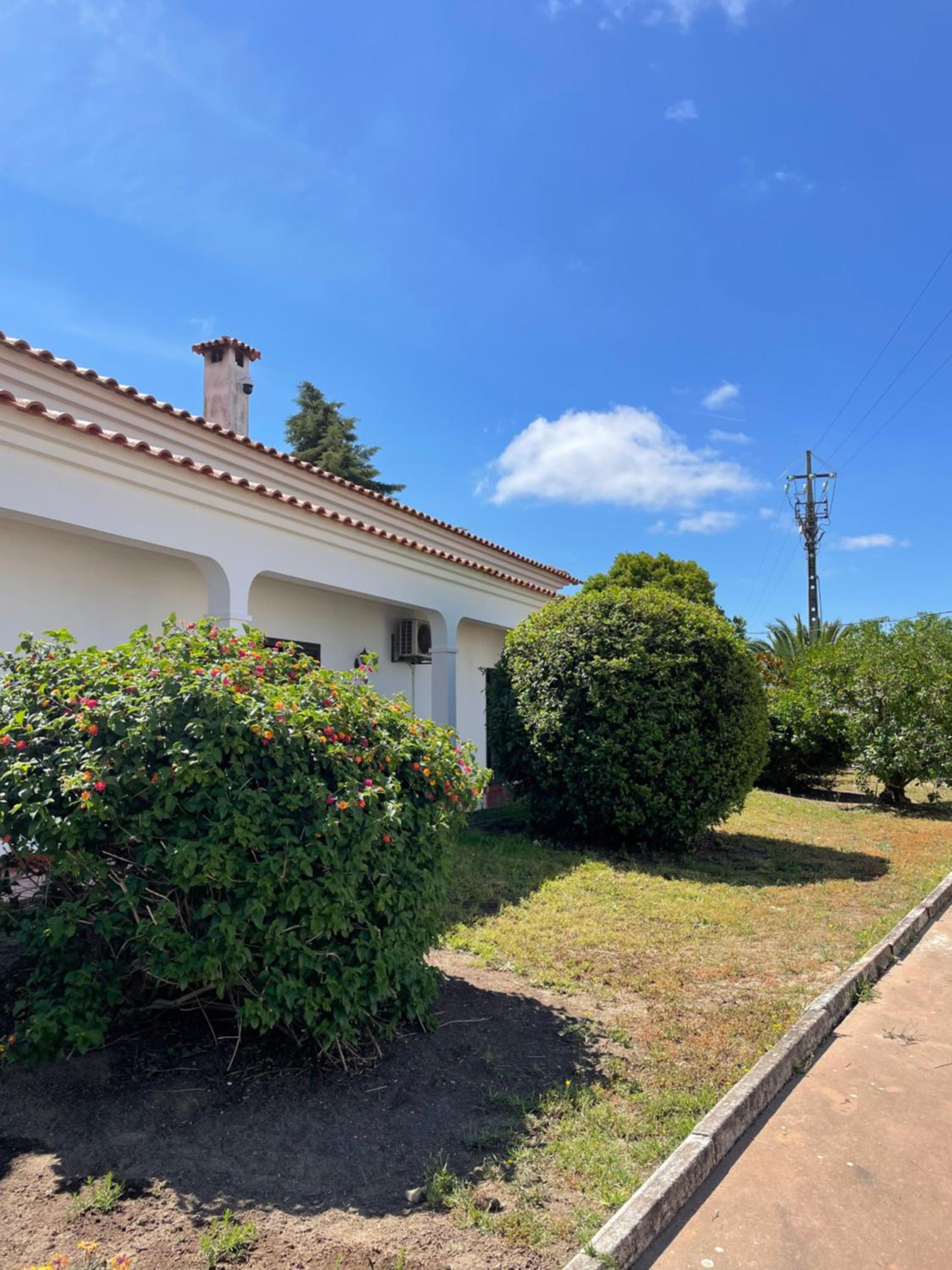 Hotel Quinta das Palmeiras - Casa no Campo com Piscina - Image 1