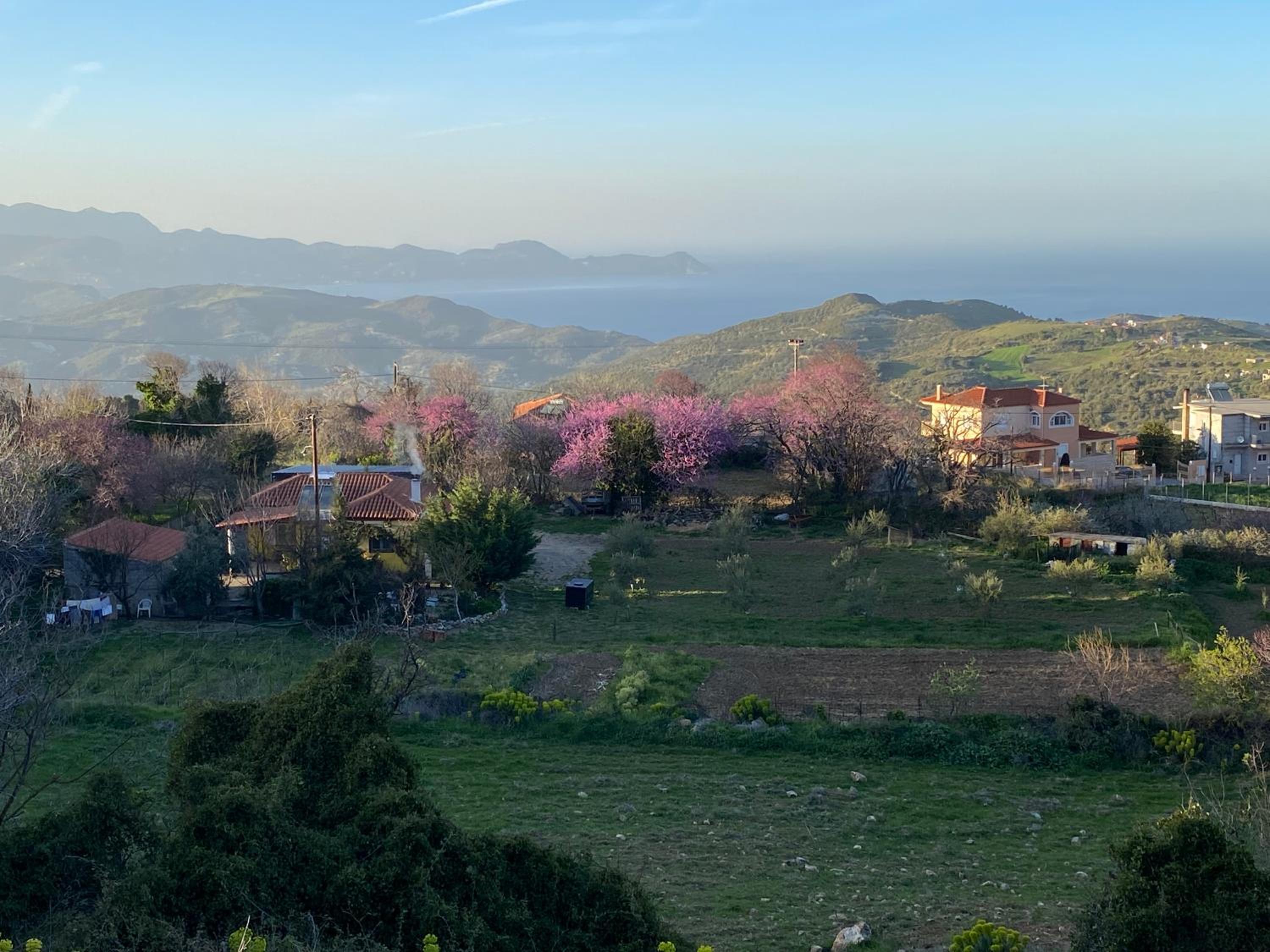 Oktonia apartments-Evia