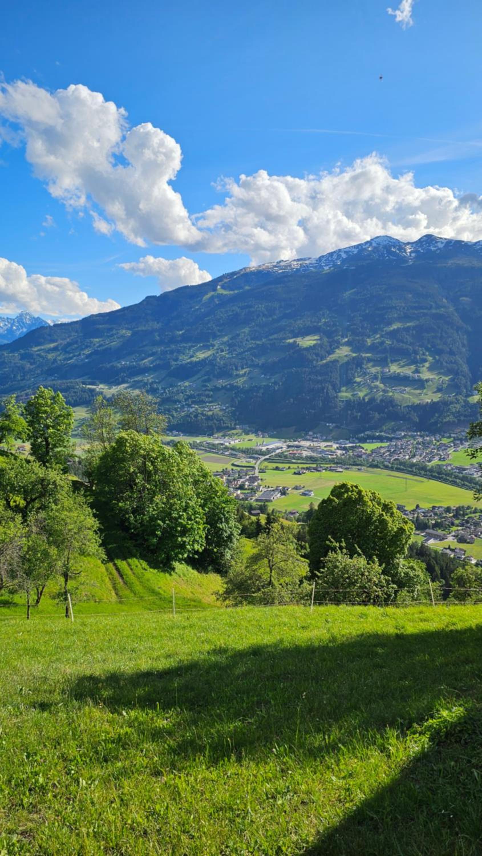 Apartment Alpenblick