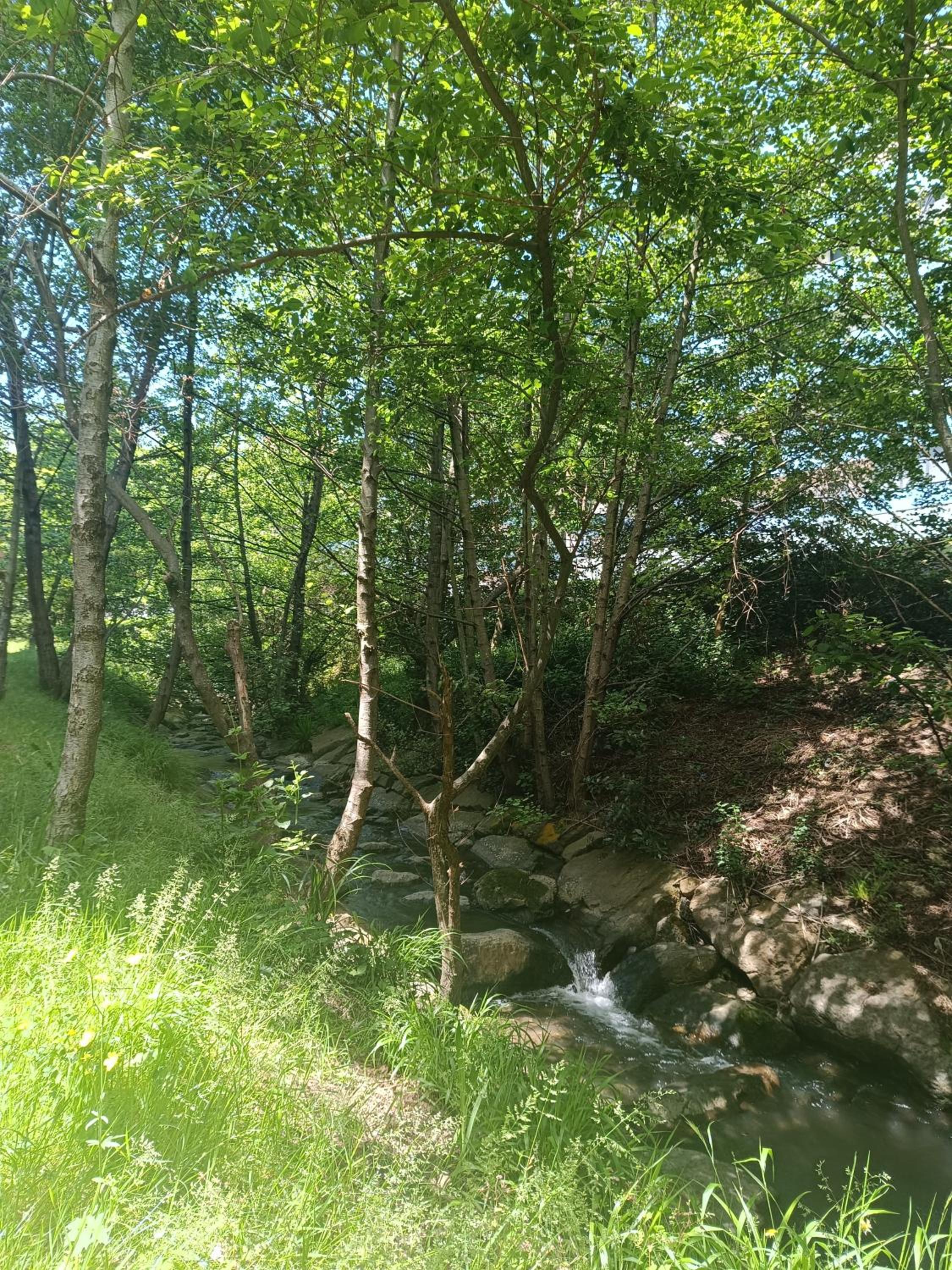 Bermeo y Urdaibai - PARKING-Ascensor - WIFi - tranquilo photo 2