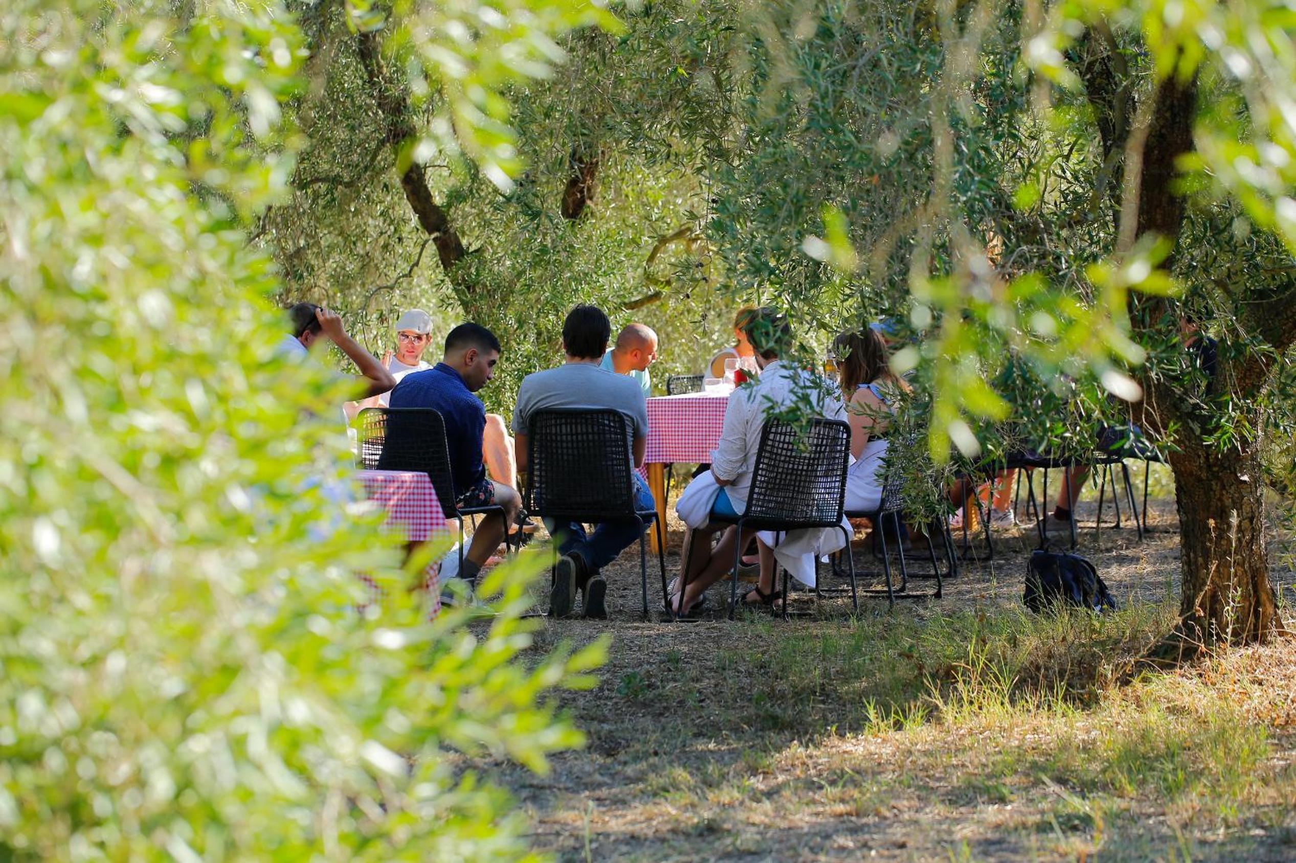 Fattoria Iluigi