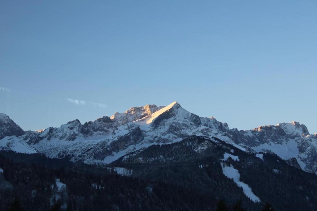 Pfeiffer Alm mit Blick auf die Zugspitze